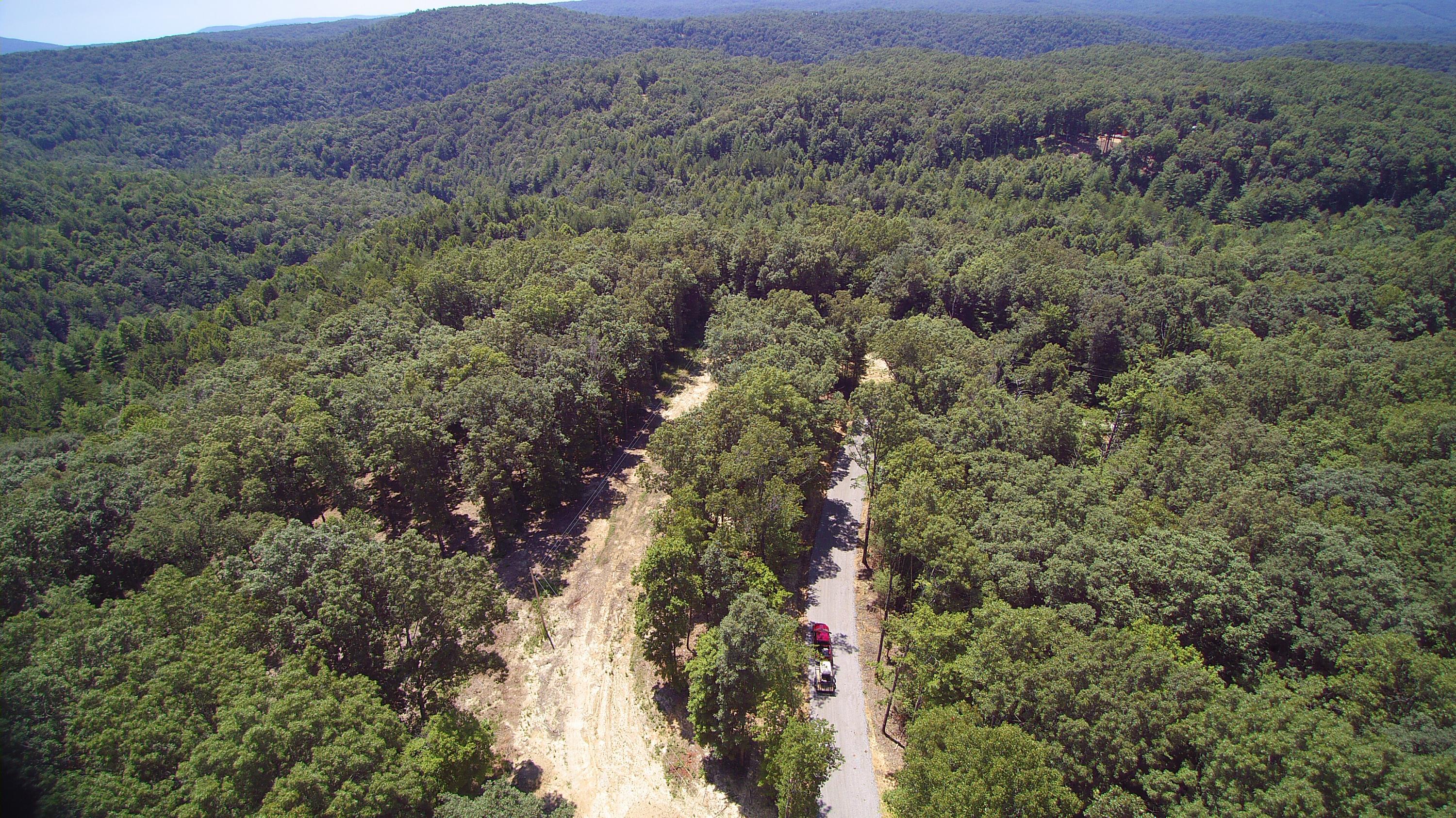 Lot 51 Homestead Hollow Road Lancing, TN 37770 - Photo 14 of 22 YUN00108