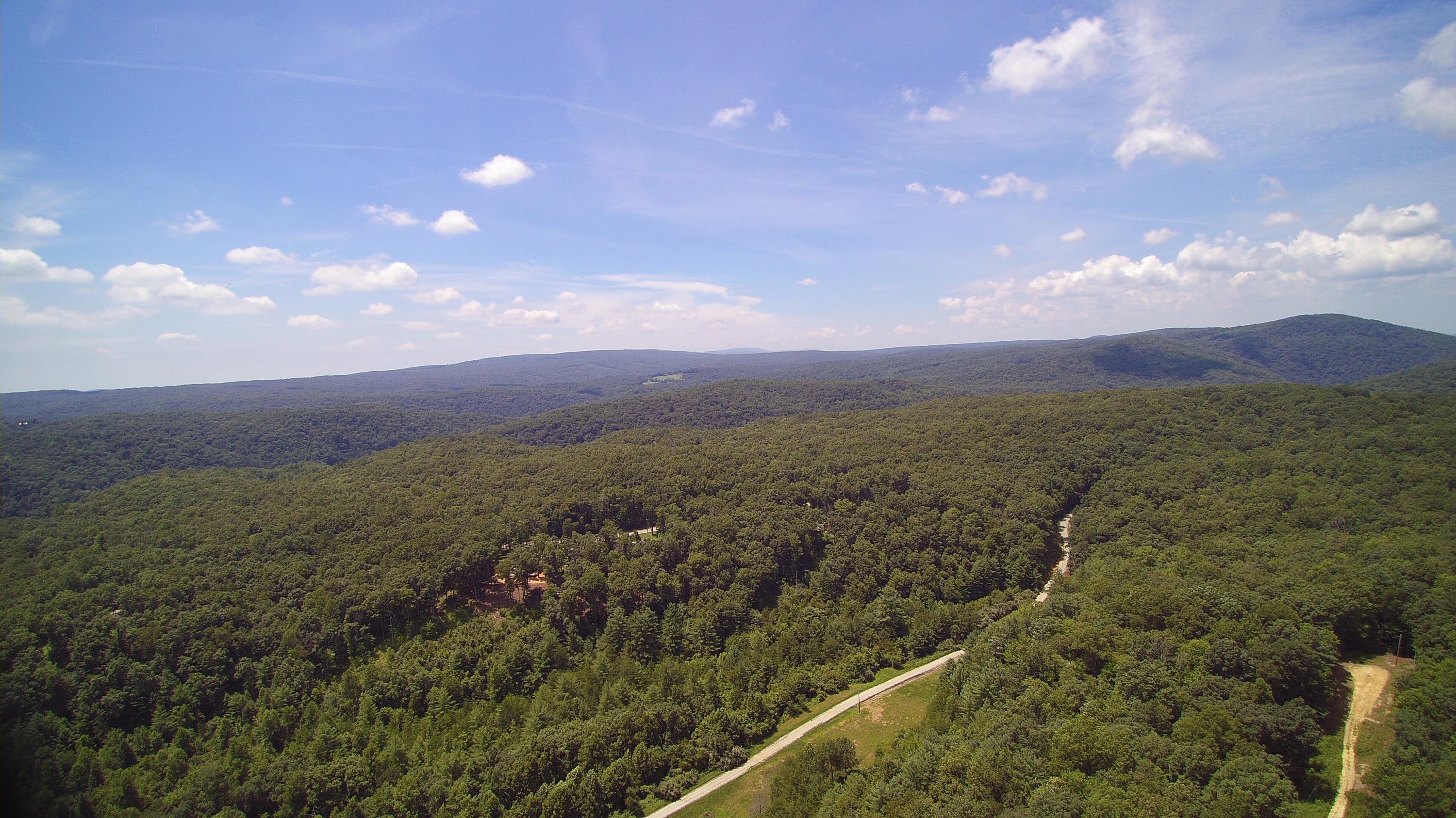 Lot 51 Homestead Hollow Road Lancing, TN 37770 - Photo 15 of 22 YUN00133