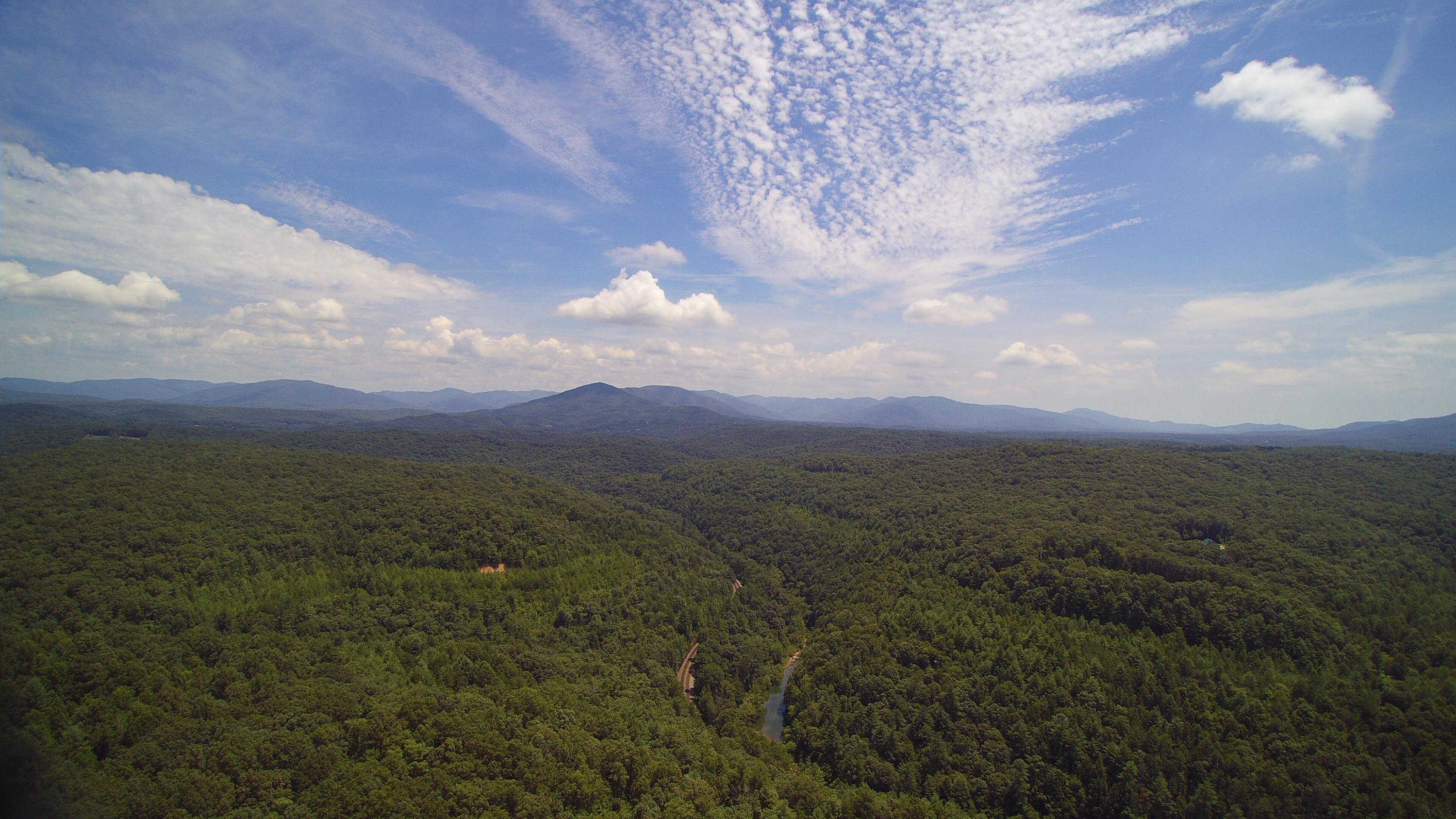 Lot 51 Homestead Hollow Road Lancing, TN 37770 - Photo 17 of 22 YUN00136