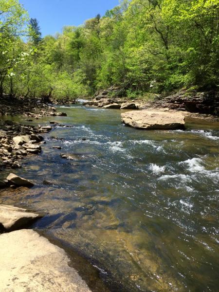 Lot 51 Homestead Hollow Road Lancing, TN 37770 - Photo 20 of 22 River