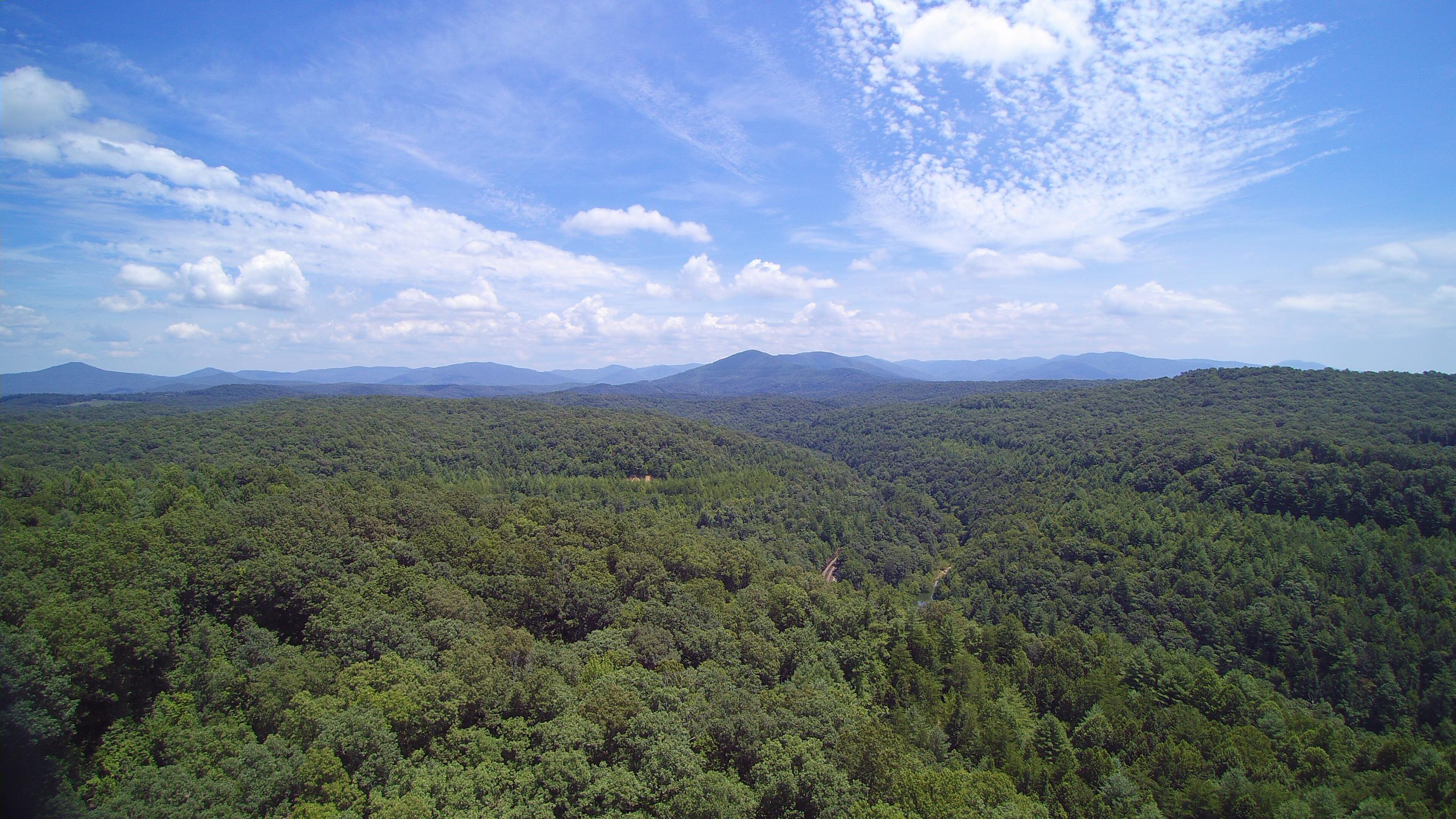 Lot 51 Homestead Hollow Road Lancing, TN 37770 - Photo 3 of 22 YUN00147