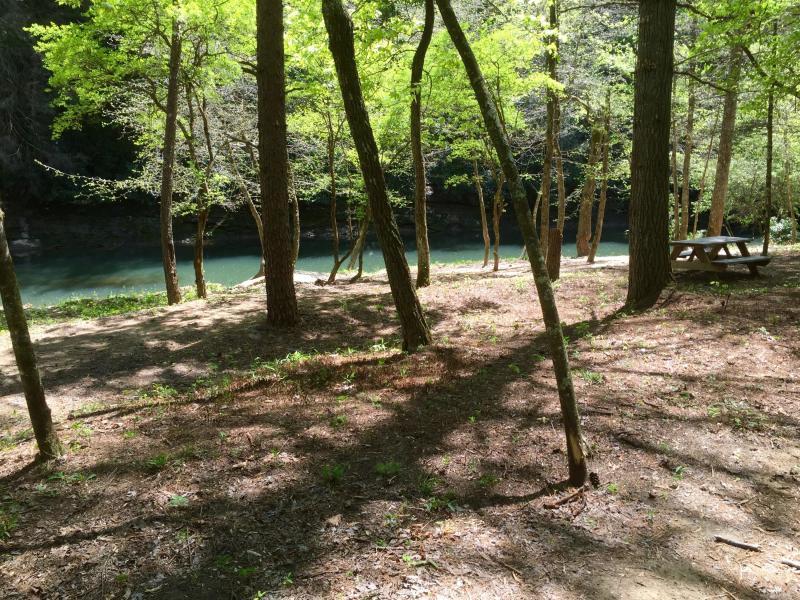 Lot 51 Homestead Hollow Road Lancing, TN 37770 - Photo 22 of 22 River3