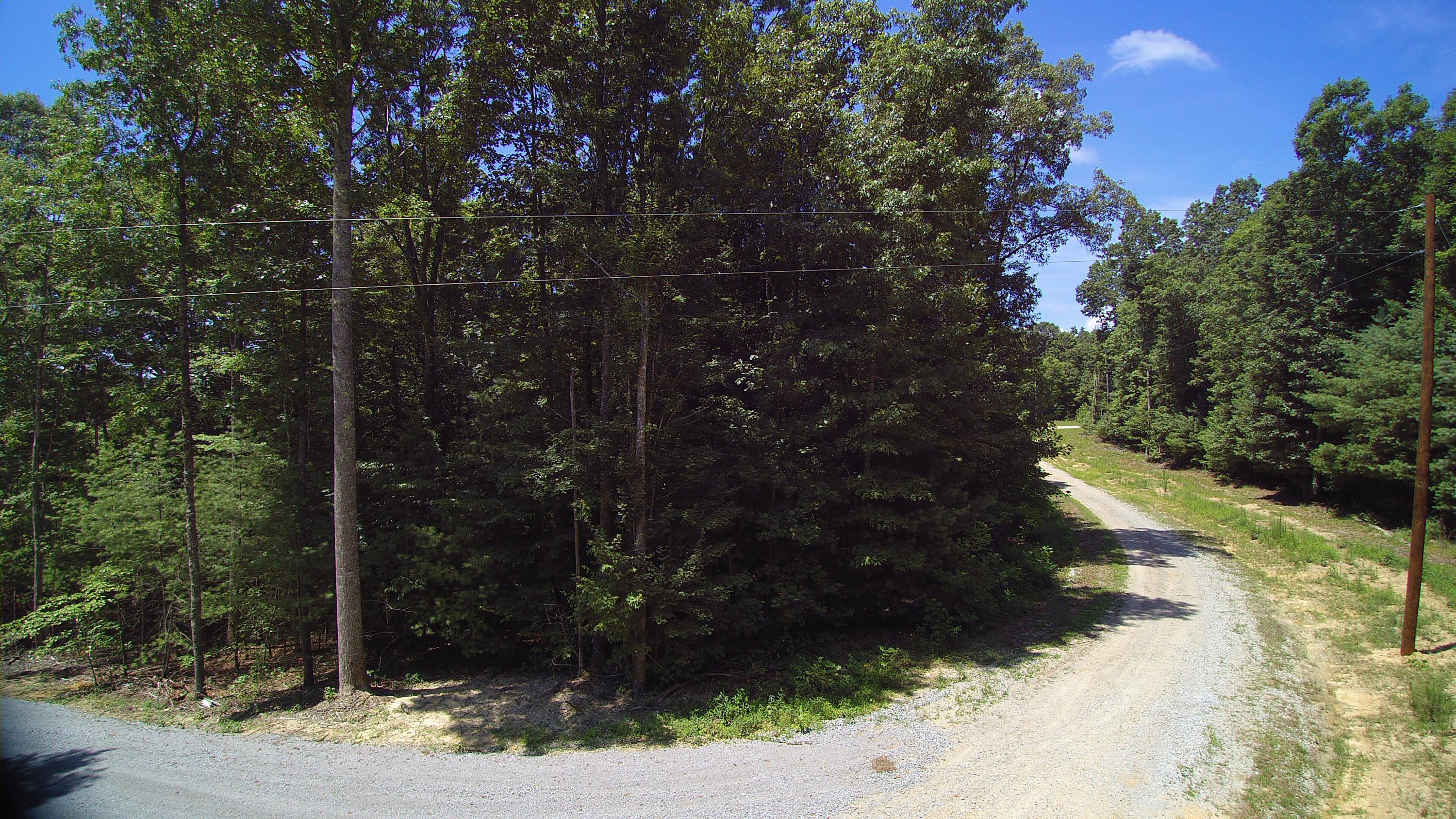 Lot 51 Homestead Hollow Road Lancing, TN 37770 - Photo 4 of 22 YUN00099