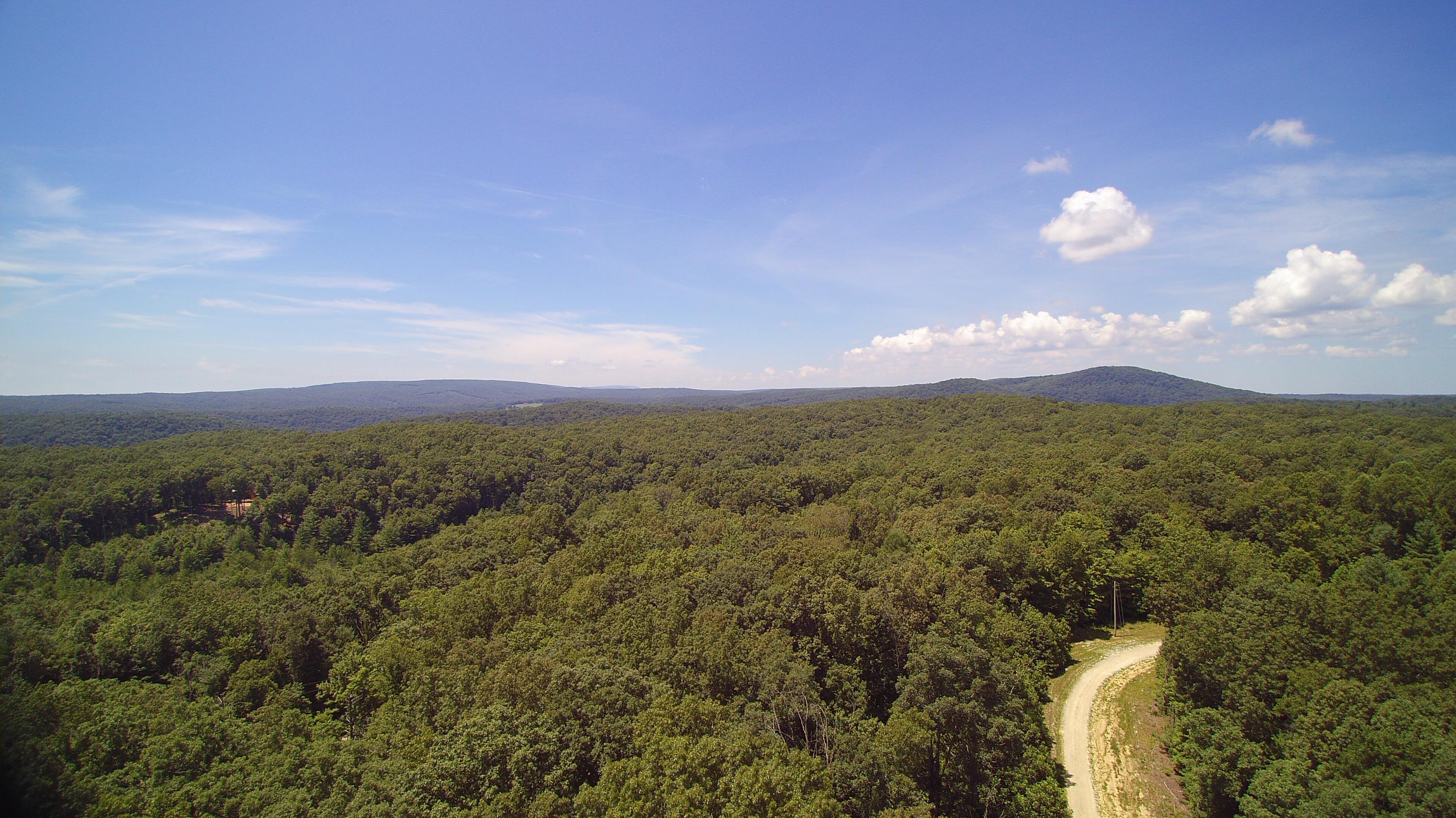 Lot 51 Homestead Hollow Road Lancing, TN 37770 - Photo 5 of 22 YUN00101