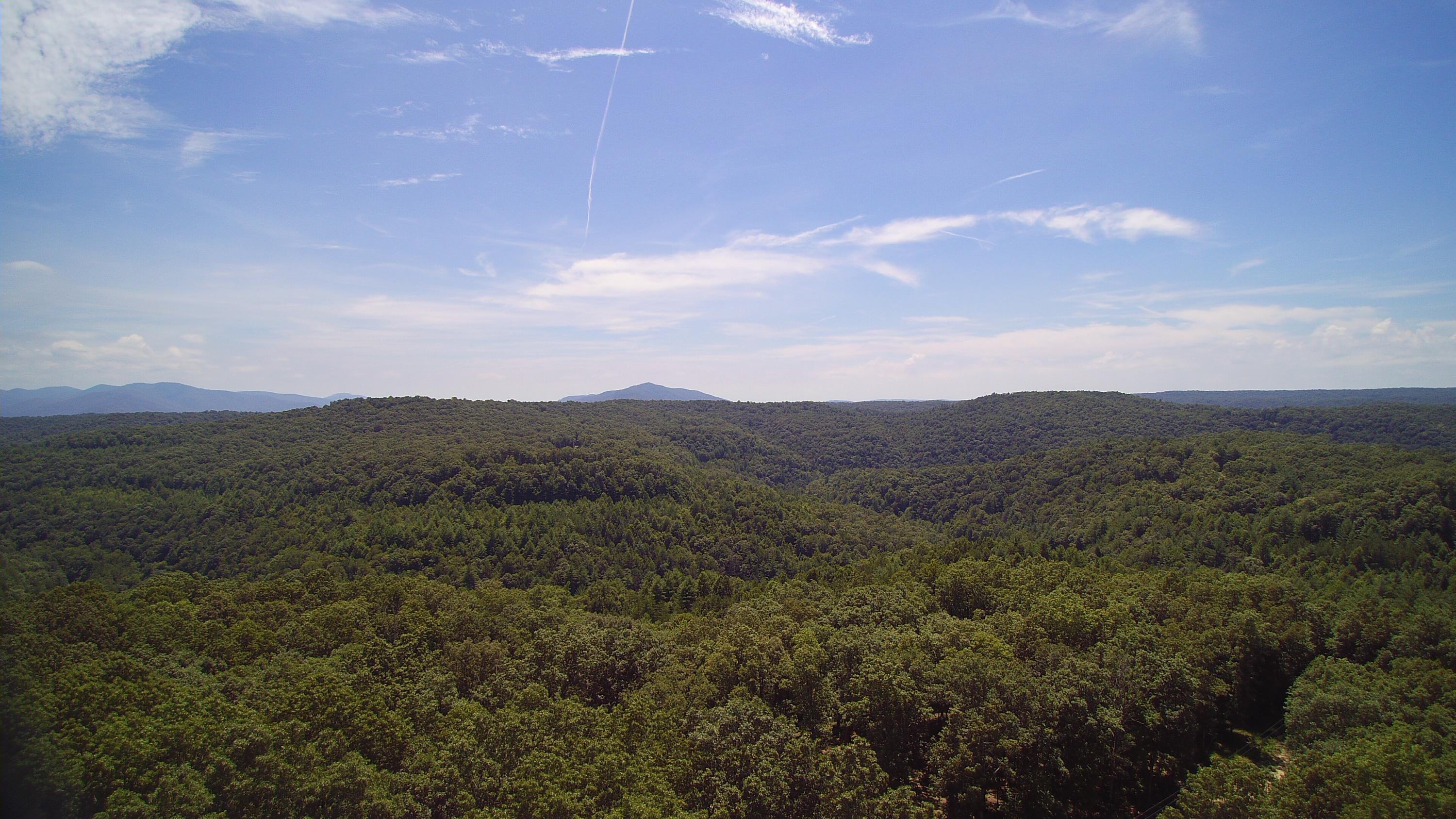 Lot 51 Homestead Hollow Road Lancing, TN 37770 - Photo 7 of 22 YUN00103