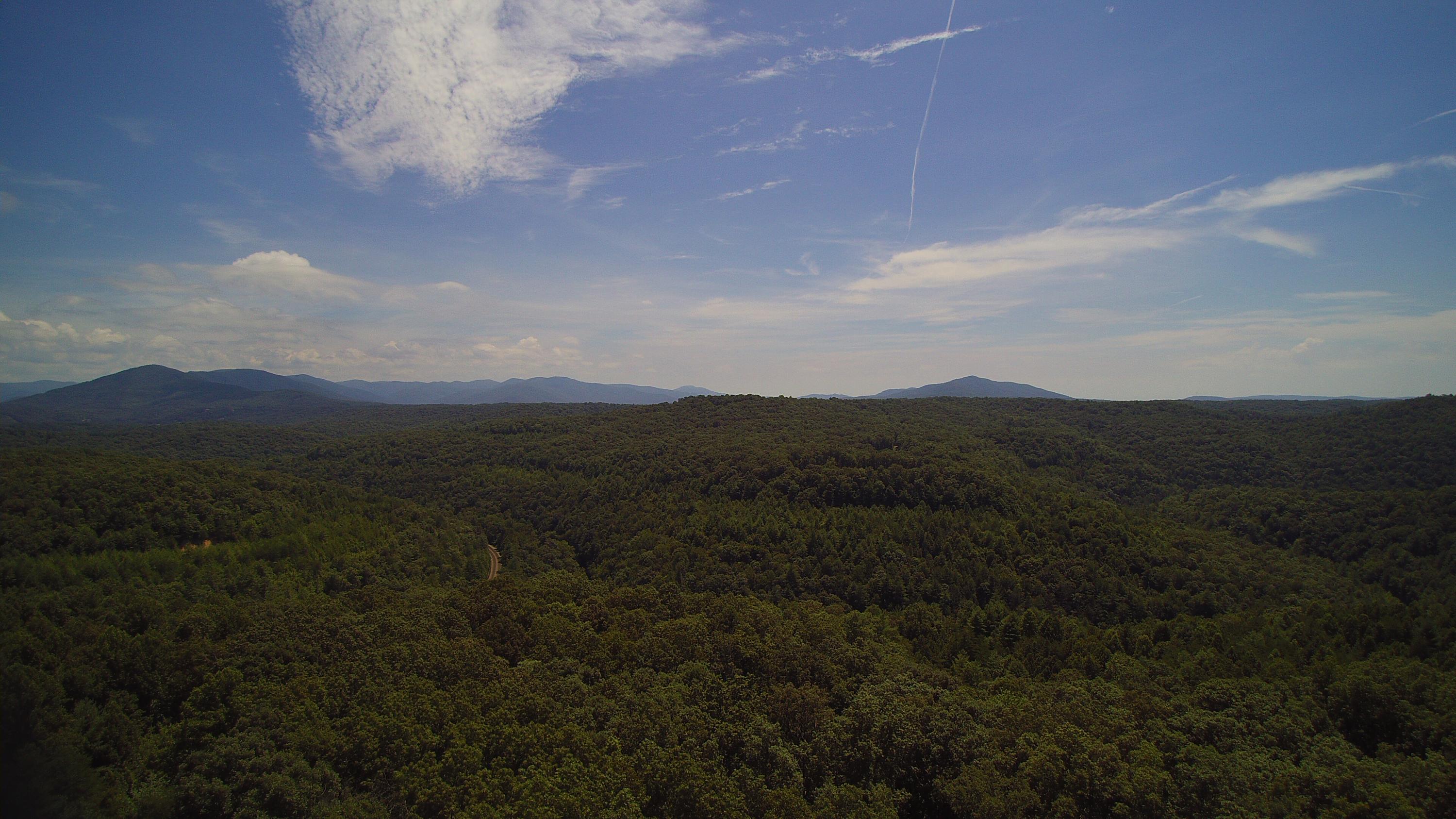 Lot 51 Homestead Hollow Road Lancing, TN 37770 - Photo 9 of 22 YUN00105