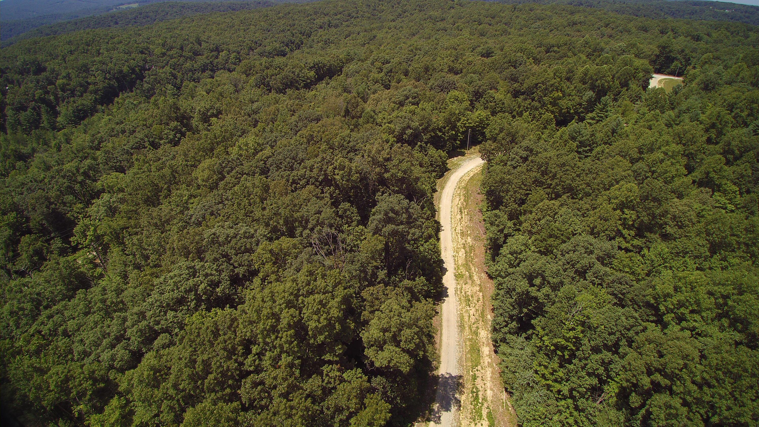 Lot 51 Homestead Hollow Road Lancing, TN 37770 - Photo 10 of 22 YUN00107