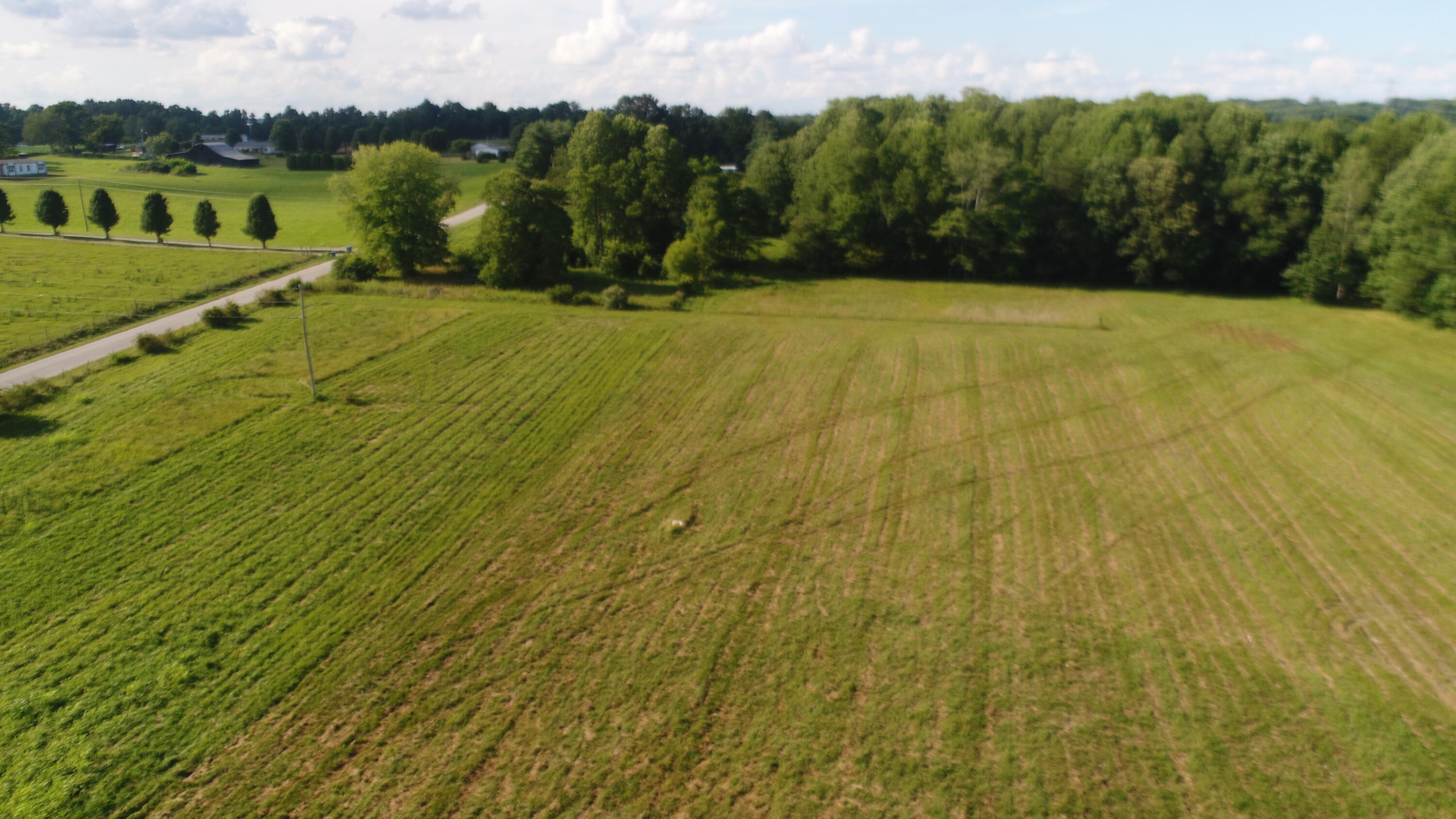 579 Singleton Road Eubank, KY 42567 - Photo 13 of 28 DJI_0280