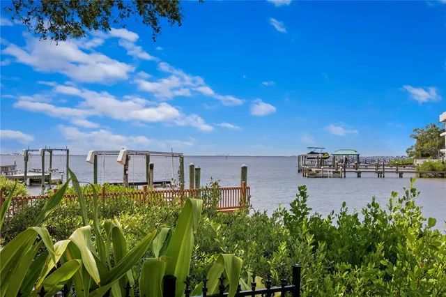 $6,995,000 | 25 West Spanish Main Street, Tampa, FL 33609