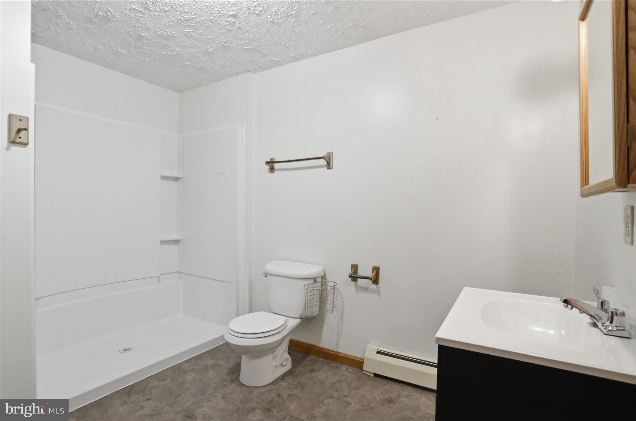 529 Braddock School Road Slanesville, WV 25444 - Photo 27 of 44 a bathroom with a sink a toilet and shower