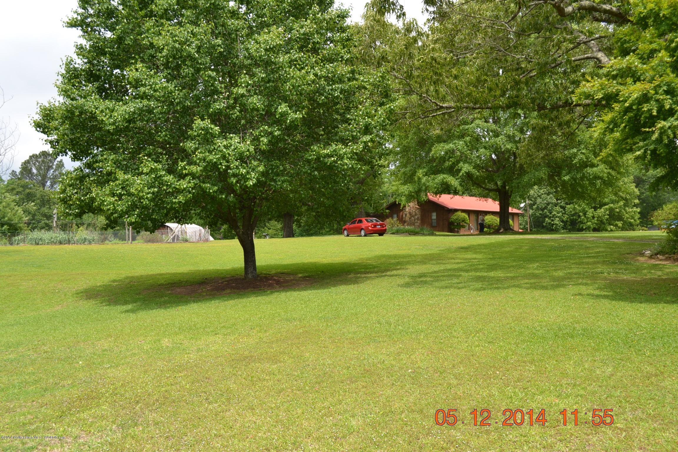 1677 Kilgore Road Nauvoo, AL 35578 - Photo 46 of 50 Gallery Image 46