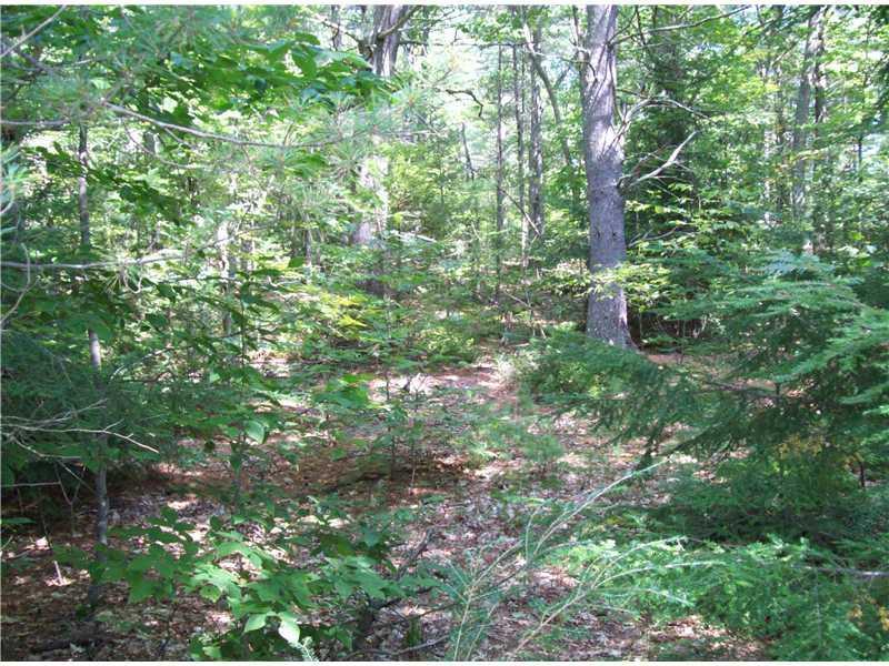 39 North Road Bridgton, ME 04009 - Photo 4 of 16 Land/Lot.