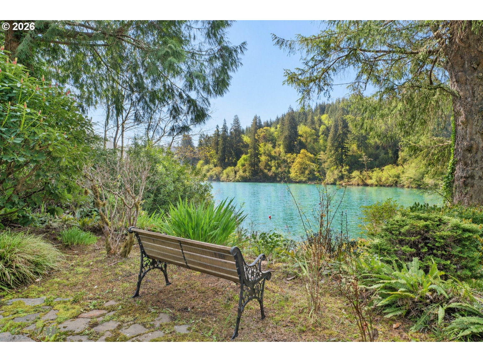 89366 Dahlin Road Florence, OR 97439 - Photo 15 of 47 Backyard