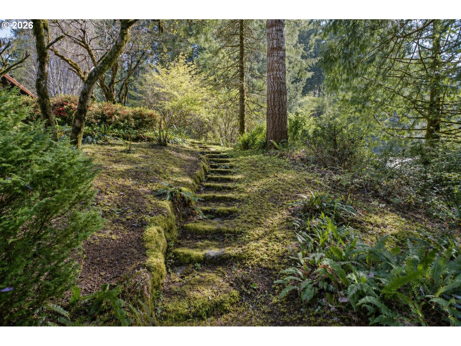 89366 Dahlin Road Florence, OR 97439 - Photo 42 of 47 Yard