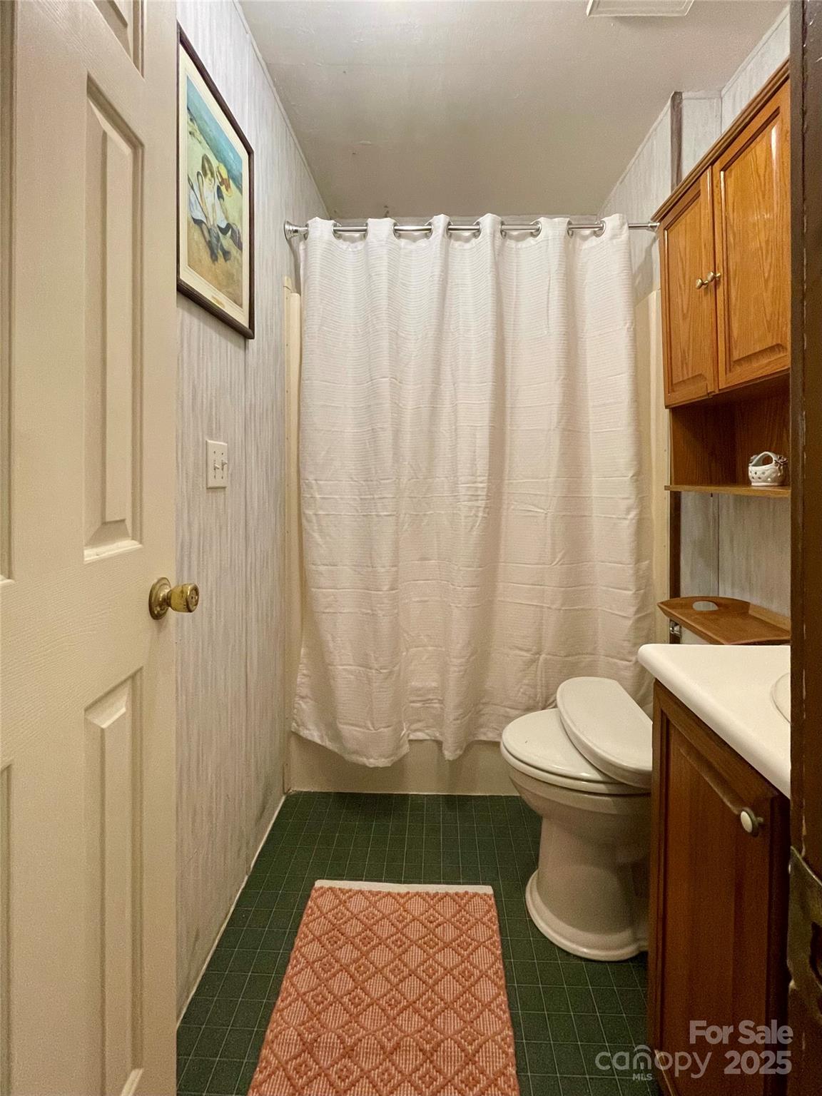 784 Fred Holcombe Road Mars Hill, NC 28754 - Photo 23 of 35 a bathroom with a sink a toilet and shower curtain