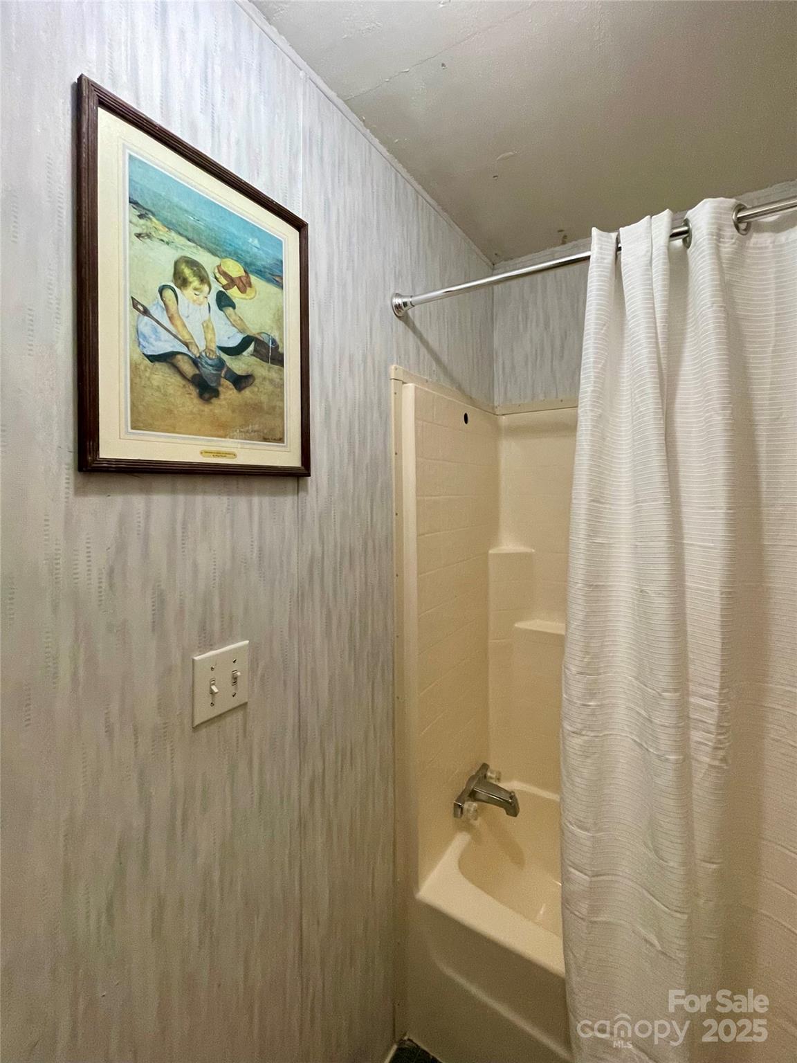 784 Fred Holcombe Road Mars Hill, NC 28754 - Photo 24 of 35 a bathroom with a shower and a bathtub
