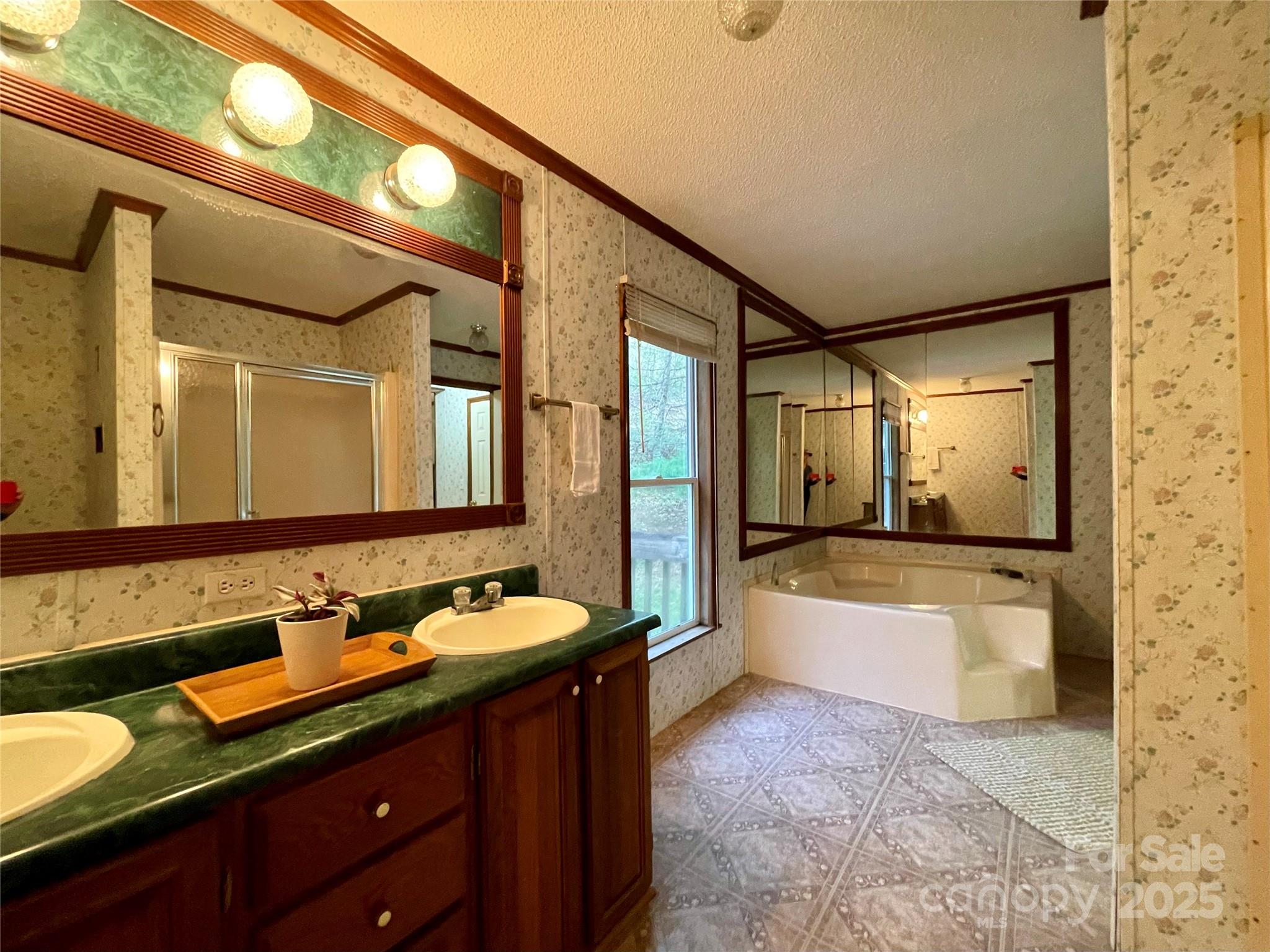 784 Fred Holcombe Road Mars Hill, NC 28754 - Photo 31 of 35 a spacious bathroom with a bathtub sink and mirror