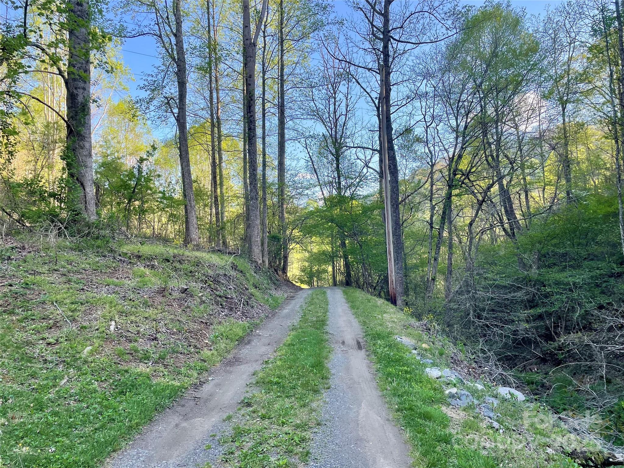 784 Fred Holcombe Road Mars Hill, NC 28754 - Photo 33 of 35 a view of a pathway with a yard