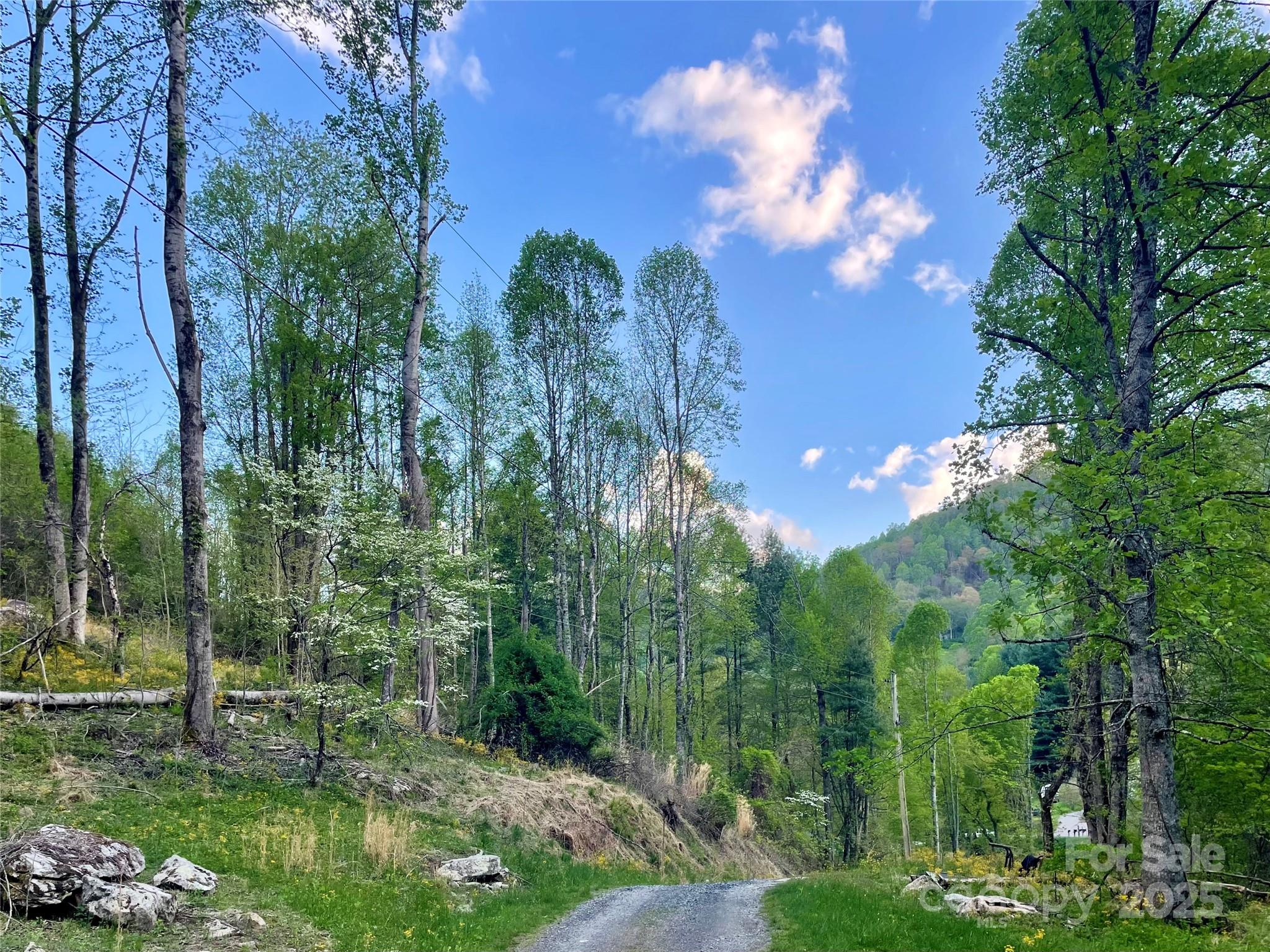 784 Fred Holcombe Road Mars Hill, NC 28754 - Photo 34 of 35 a view of a lake with a yard