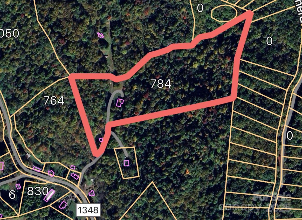 784 Fred Holcombe Road Mars Hill, NC 28754 - Photo 8 of 35