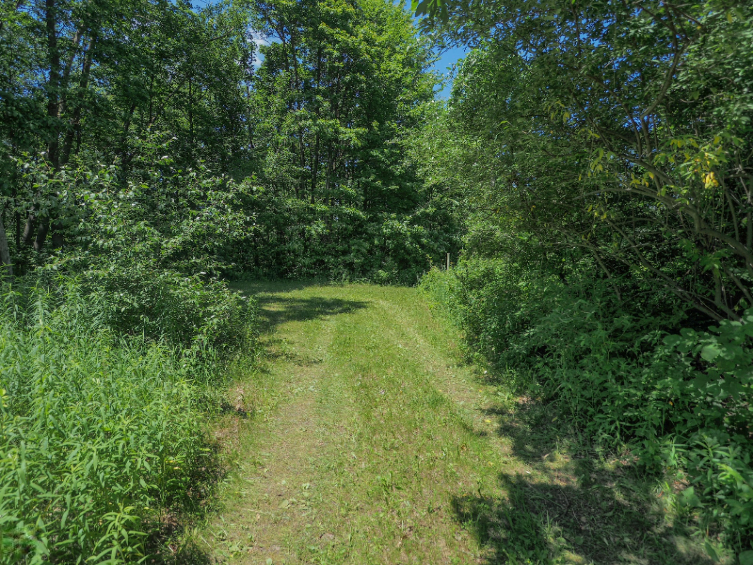 0 South Head Road Hastings, MI 49058 - Photo 11 of 18 00 Head Rd-101
