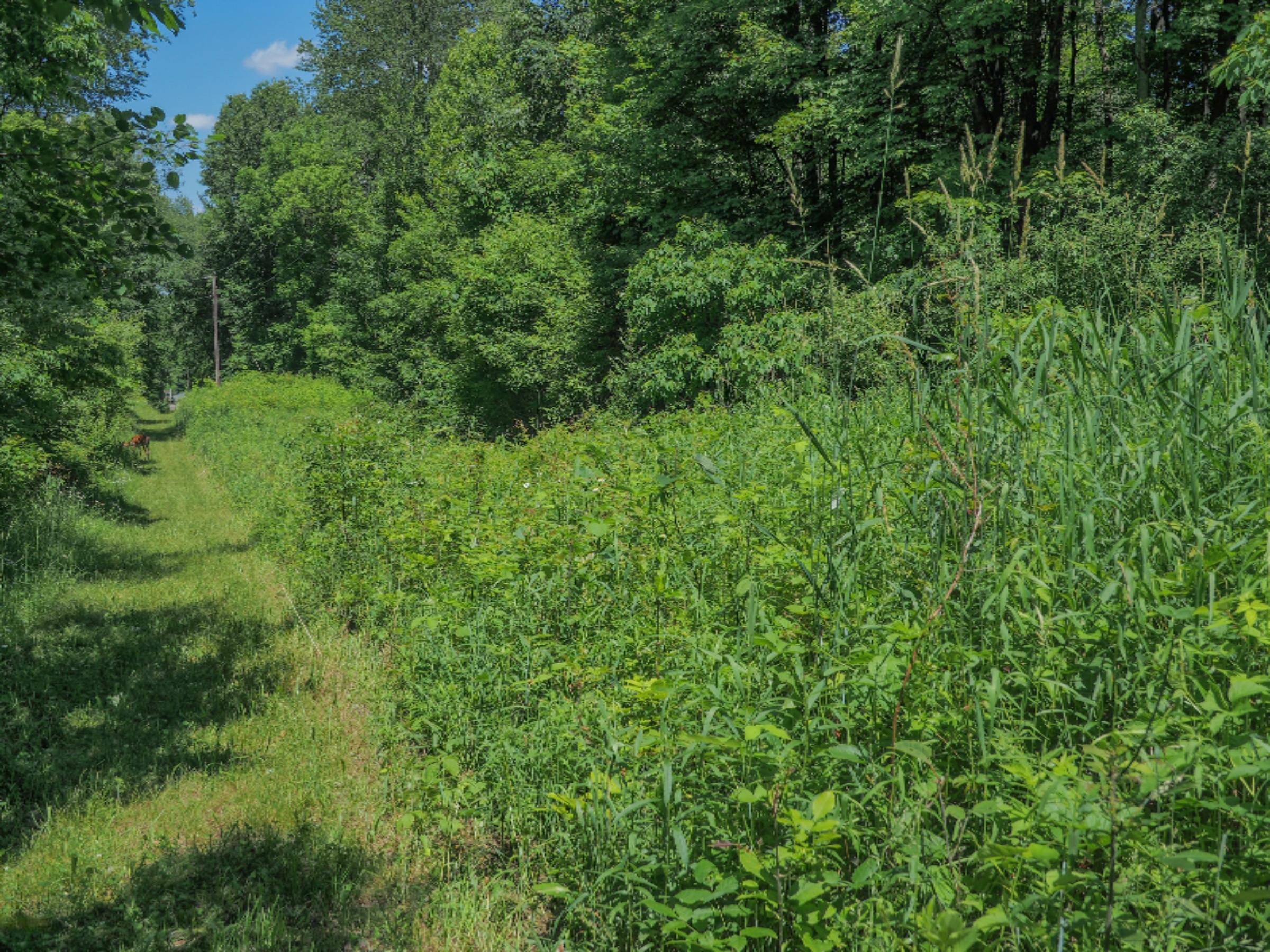 0 South Head Road Hastings, MI 49058 - Photo 15 of 18 00 Head Rd-105