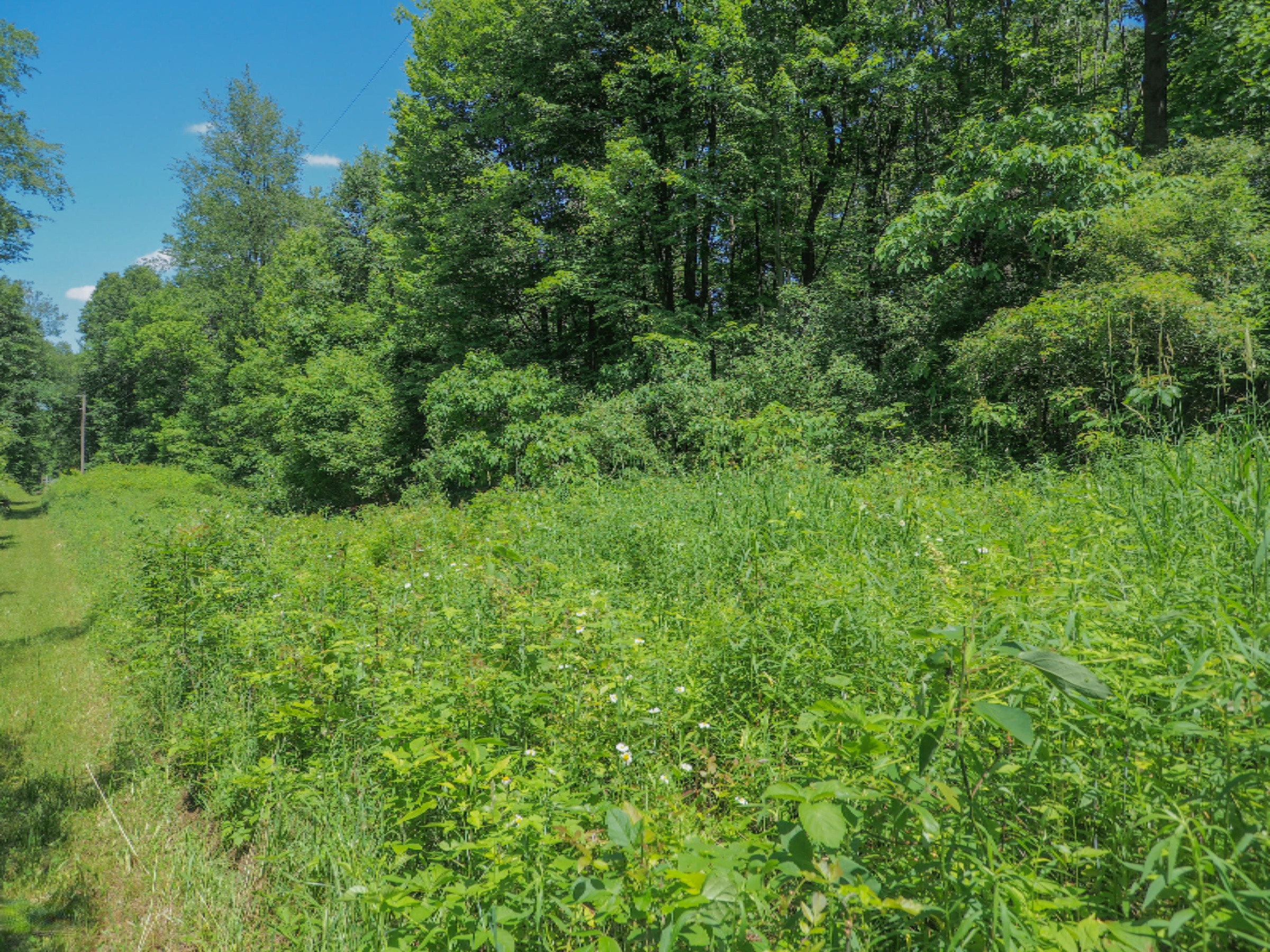 0 South Head Road Hastings, MI 49058 - Photo 17 of 18 00 Head Rd-107