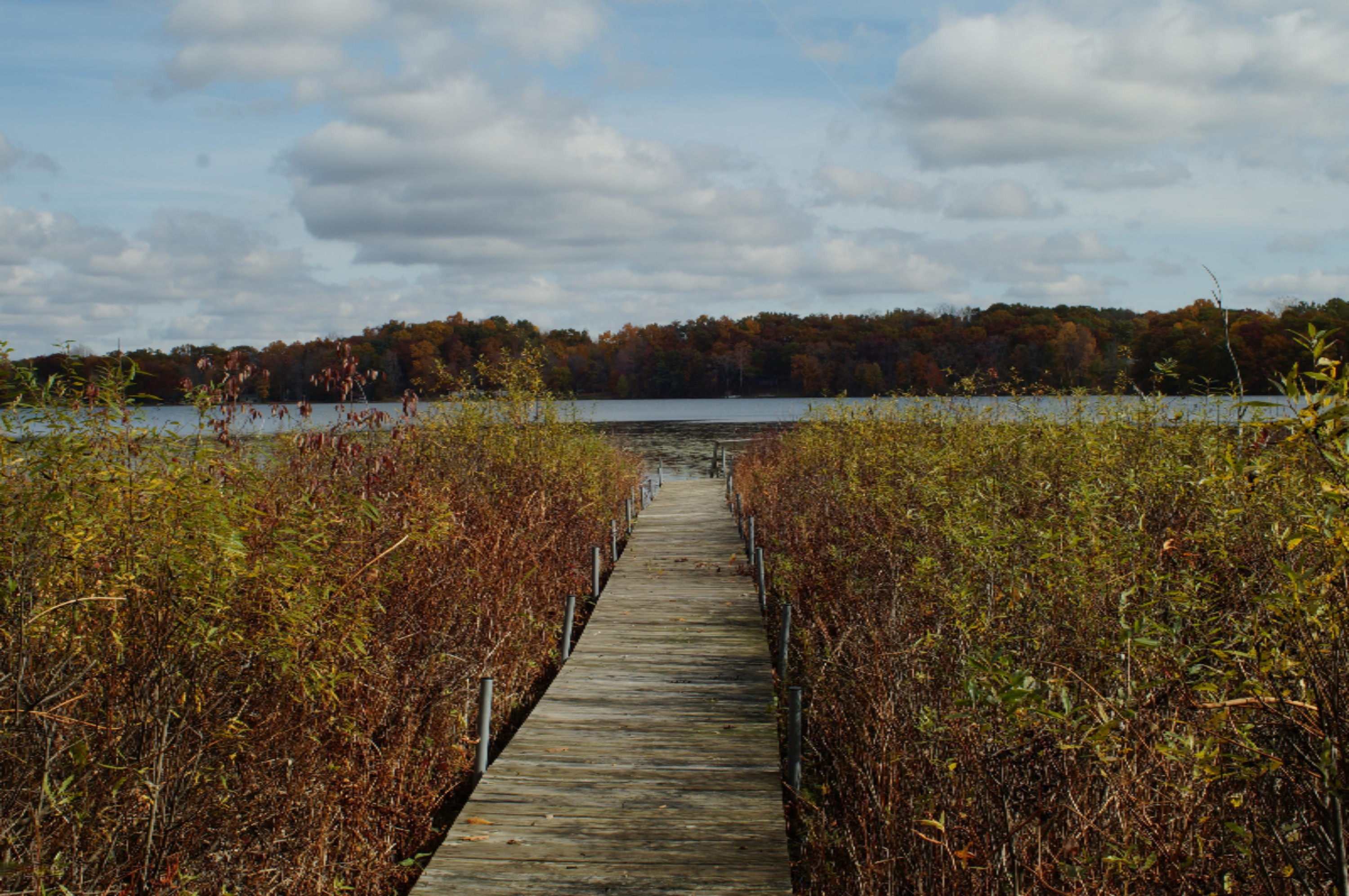 0 South Head Road Hastings, MI 49058 - Photo 2 of 18 5E43D603-E2FC-469F-A258-B57075CB8279