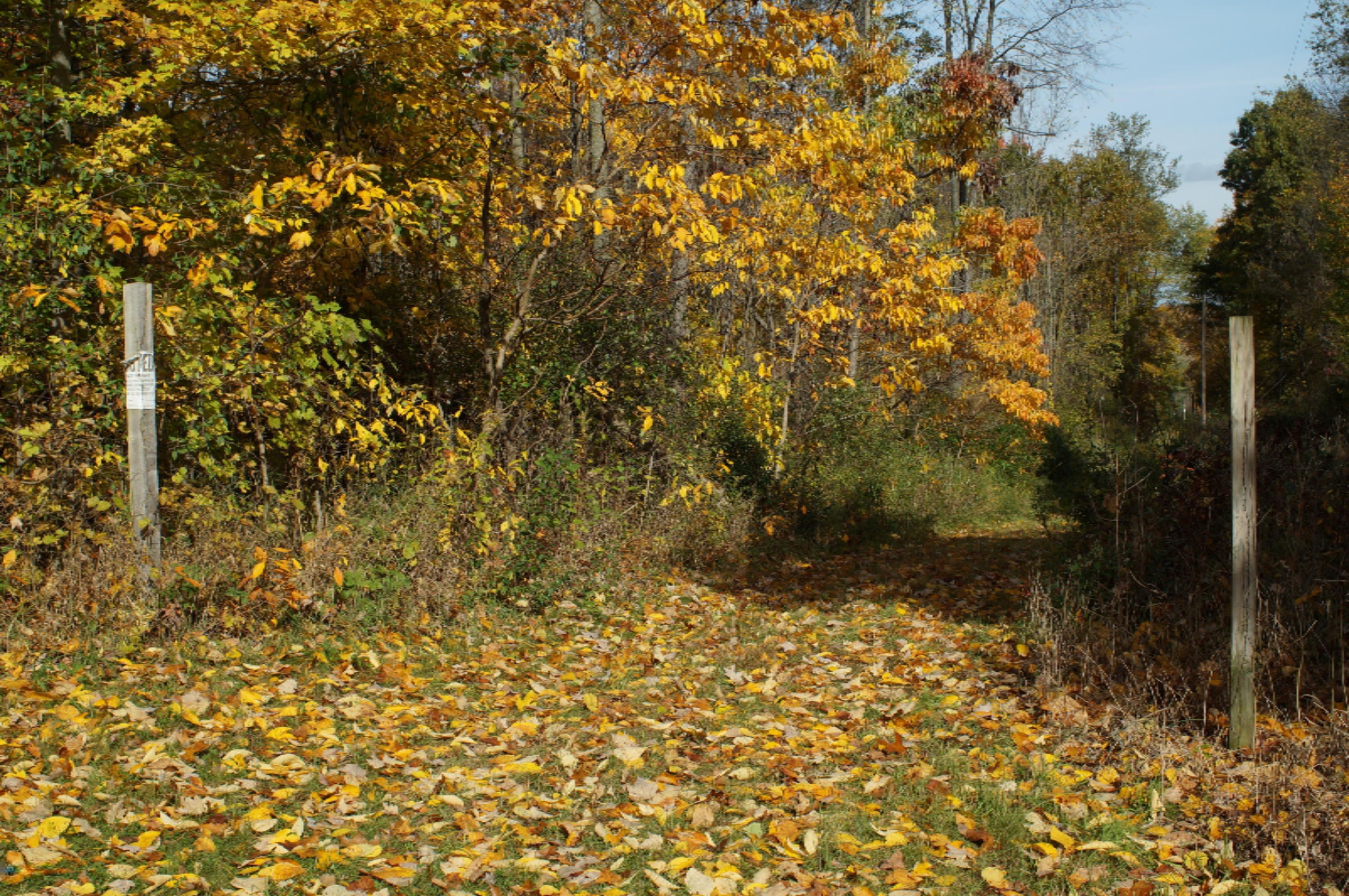 0 South Head Road Hastings, MI 49058 - Photo 5 of 18 450836D6-E11C-4361-BE5B-326F9B2B598A