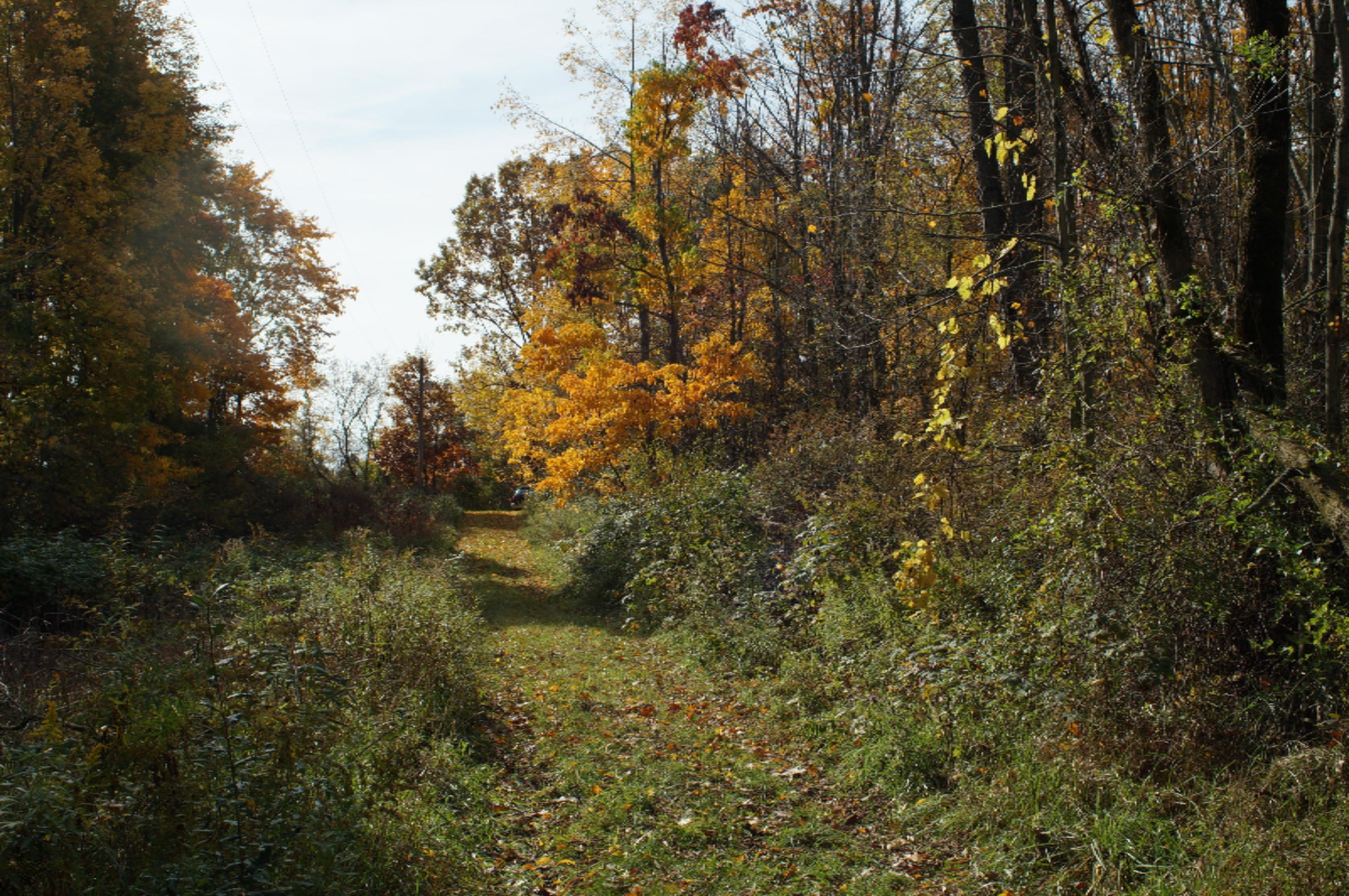 0 South Head Road Hastings, MI 49058 - Photo 6 of 18 04C16B21-E63B-40DA-8E7F-C514256AA7FE