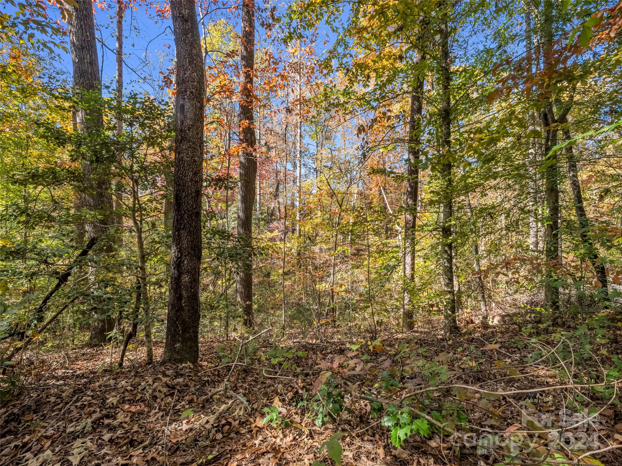 0 Thermal City Road Union Mills, NC 28167 - Photo 40 of 48