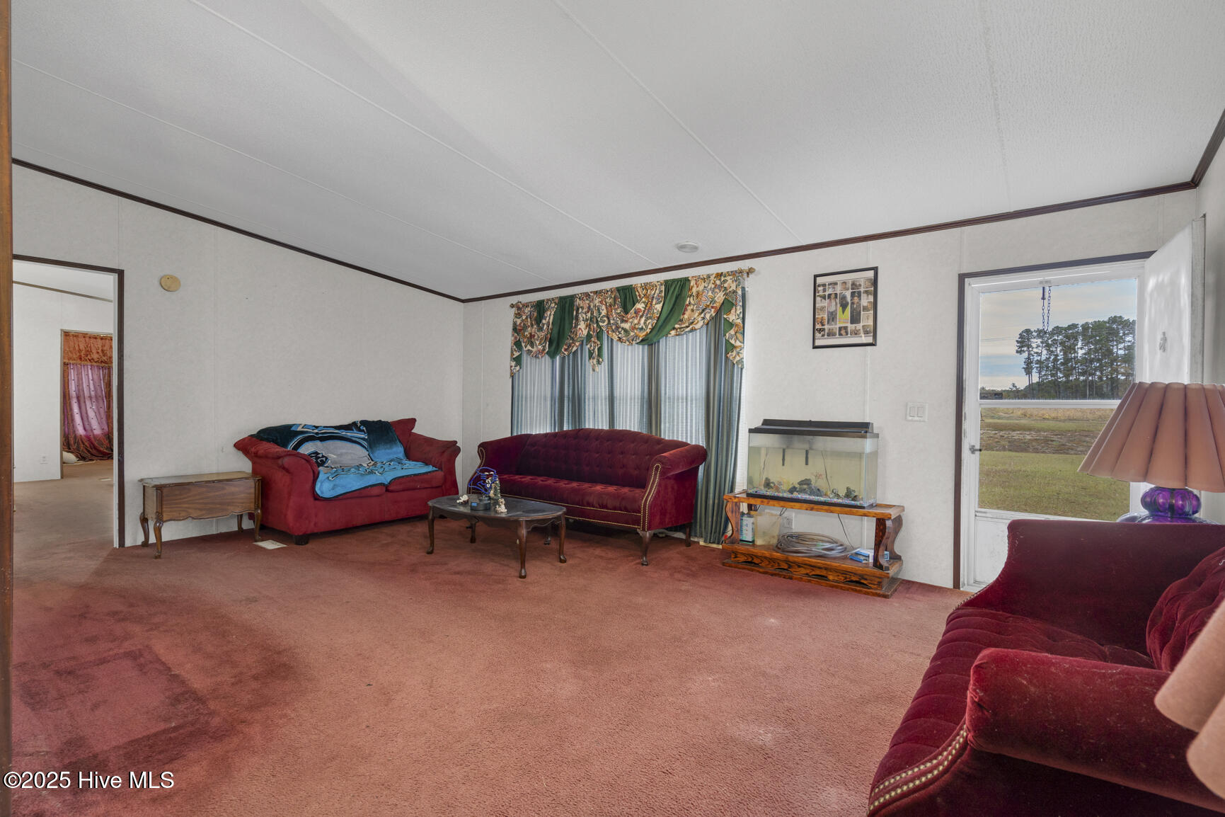 4694 Needham Road Bailey, NC 27807 - Photo 8 of 42 005-4694NeedhamRoad-Bailey-NC-27807-FULL