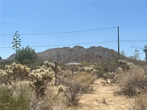 a view of mountains