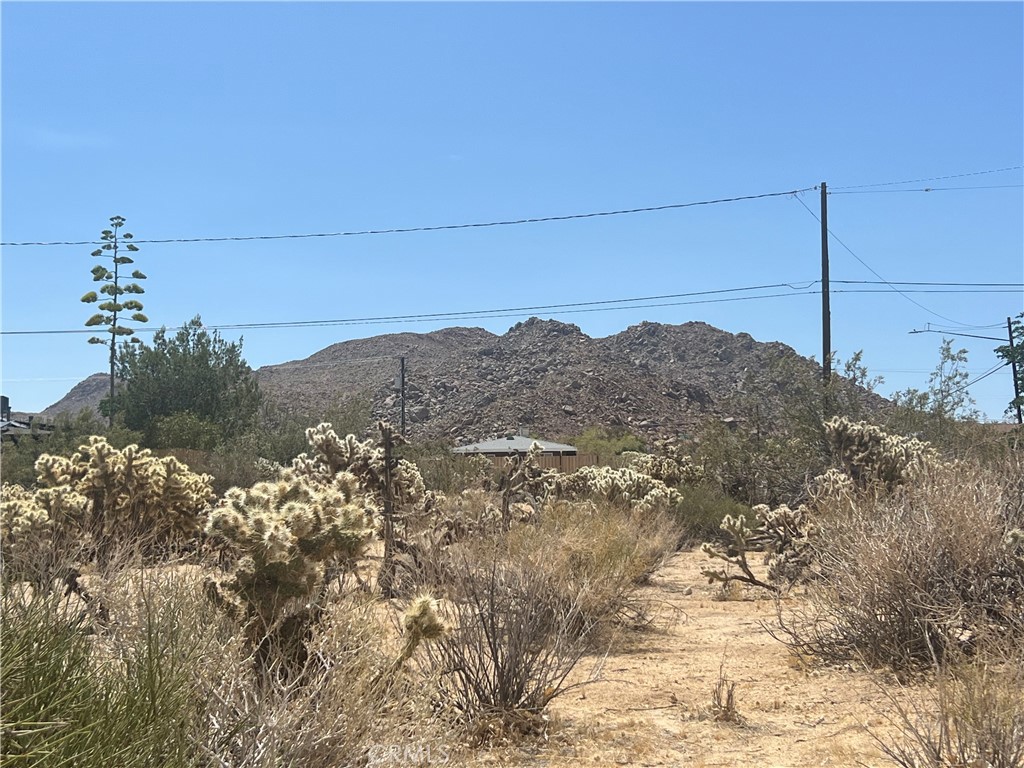 61891 El Reposo Circle Joshua Tree, CA 92252 - Photo 1 of 6