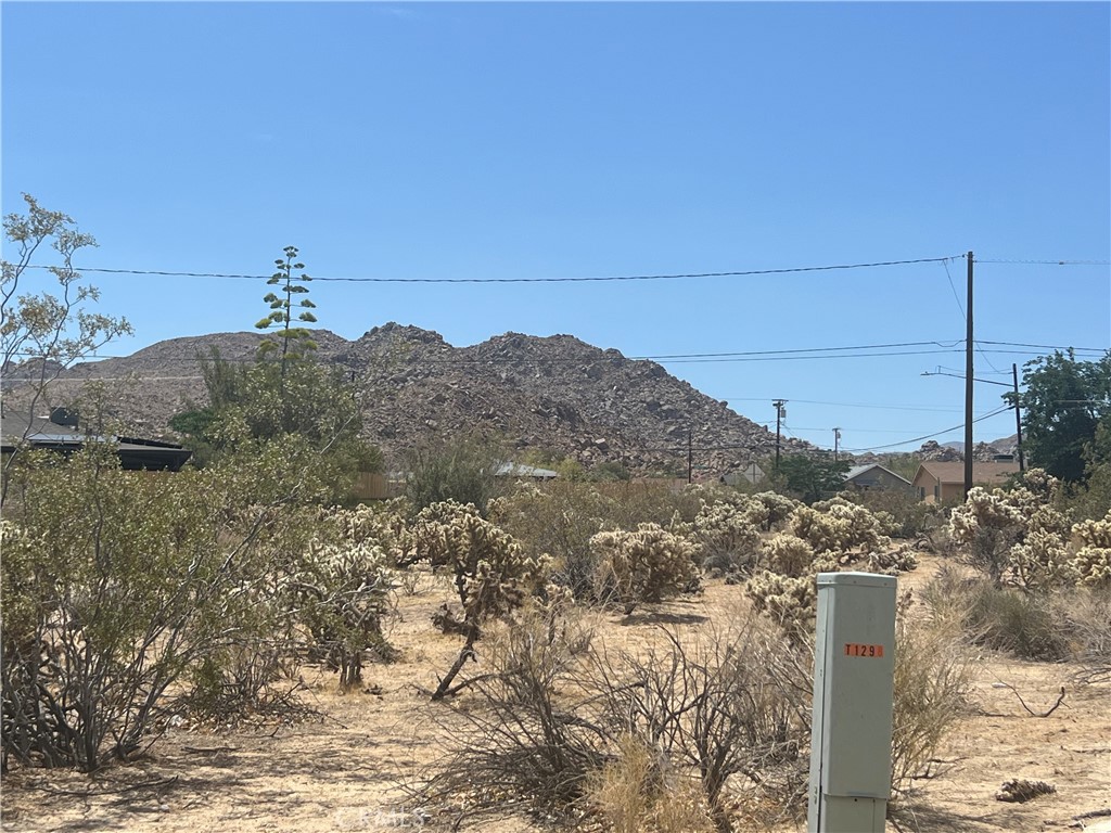 61891 El Reposo Circle Joshua Tree, CA 92252 - Photo 2 of 6