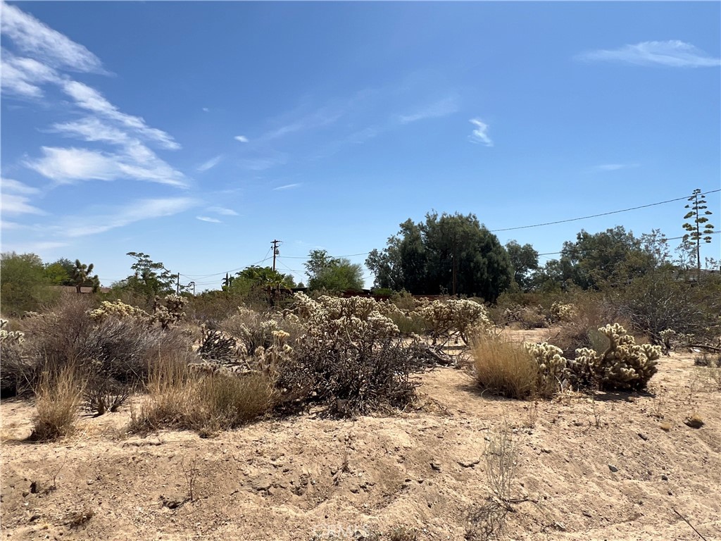 61891 El Reposo Circle Joshua Tree, CA 92252 - Photo 4 of 6