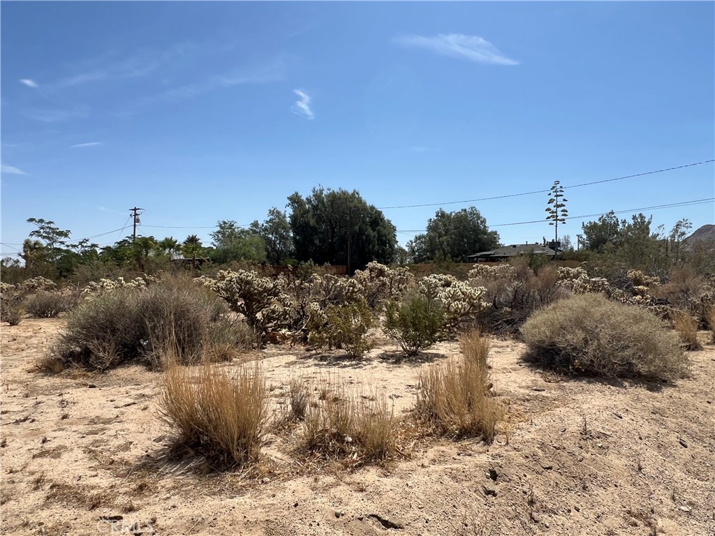 61891 El Reposo Circle Joshua Tree, CA 92252 - Photo 5 of 6