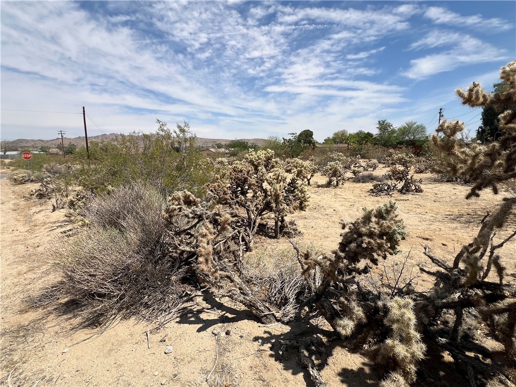 61891 El Reposo Circle Joshua Tree, CA 92252 - Photo 6 of 6