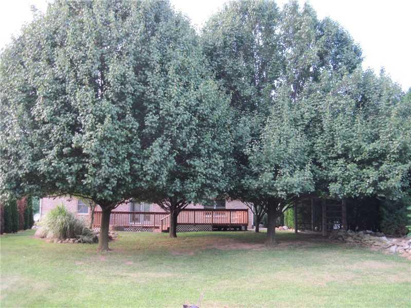 2169 North Olive Church Road Paragon, IN 46166 - Photo 11 of 22