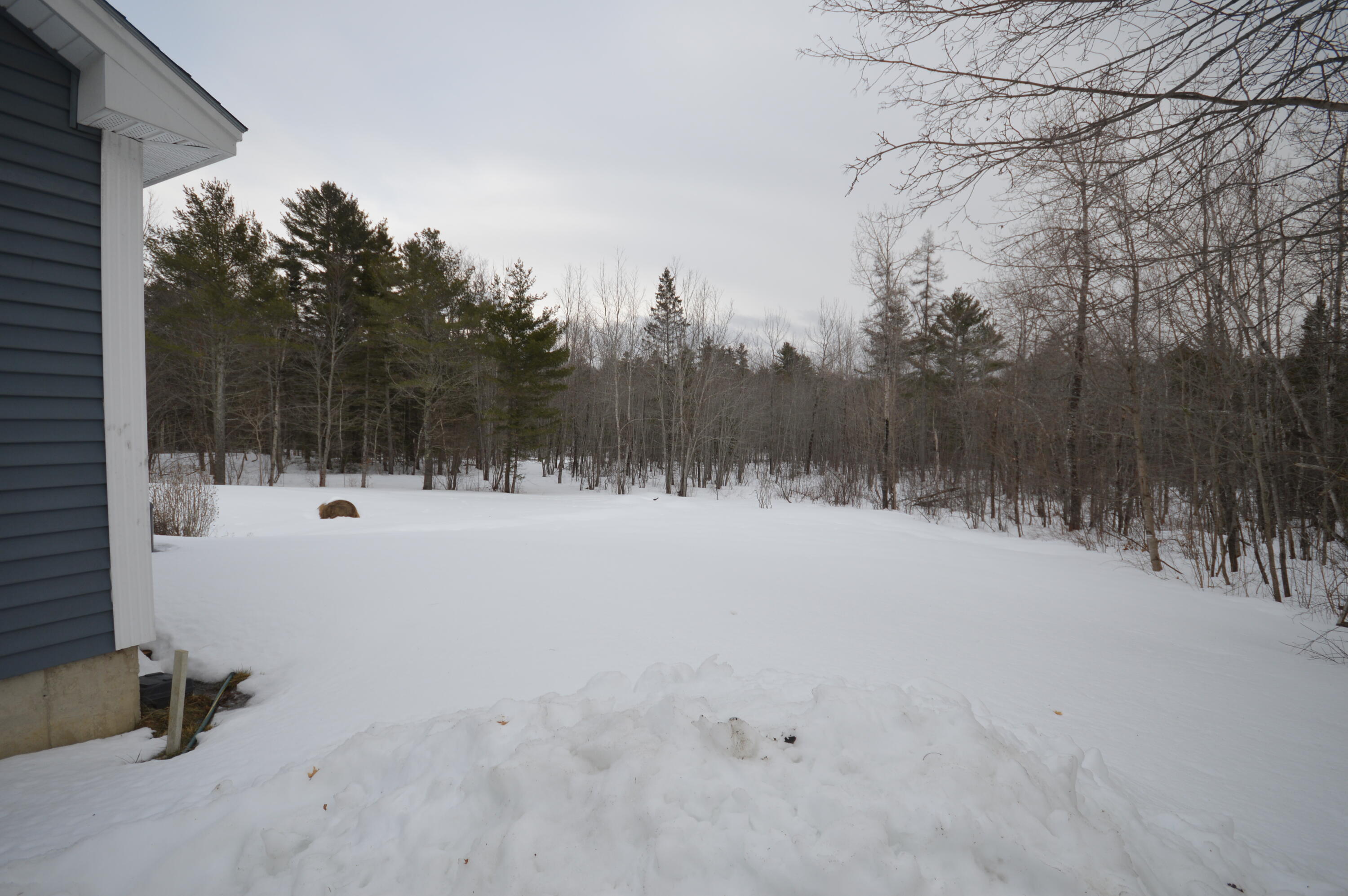 75 Meadow Road Hampden, ME 04444 - Photo 38 of 38 DSC_0045