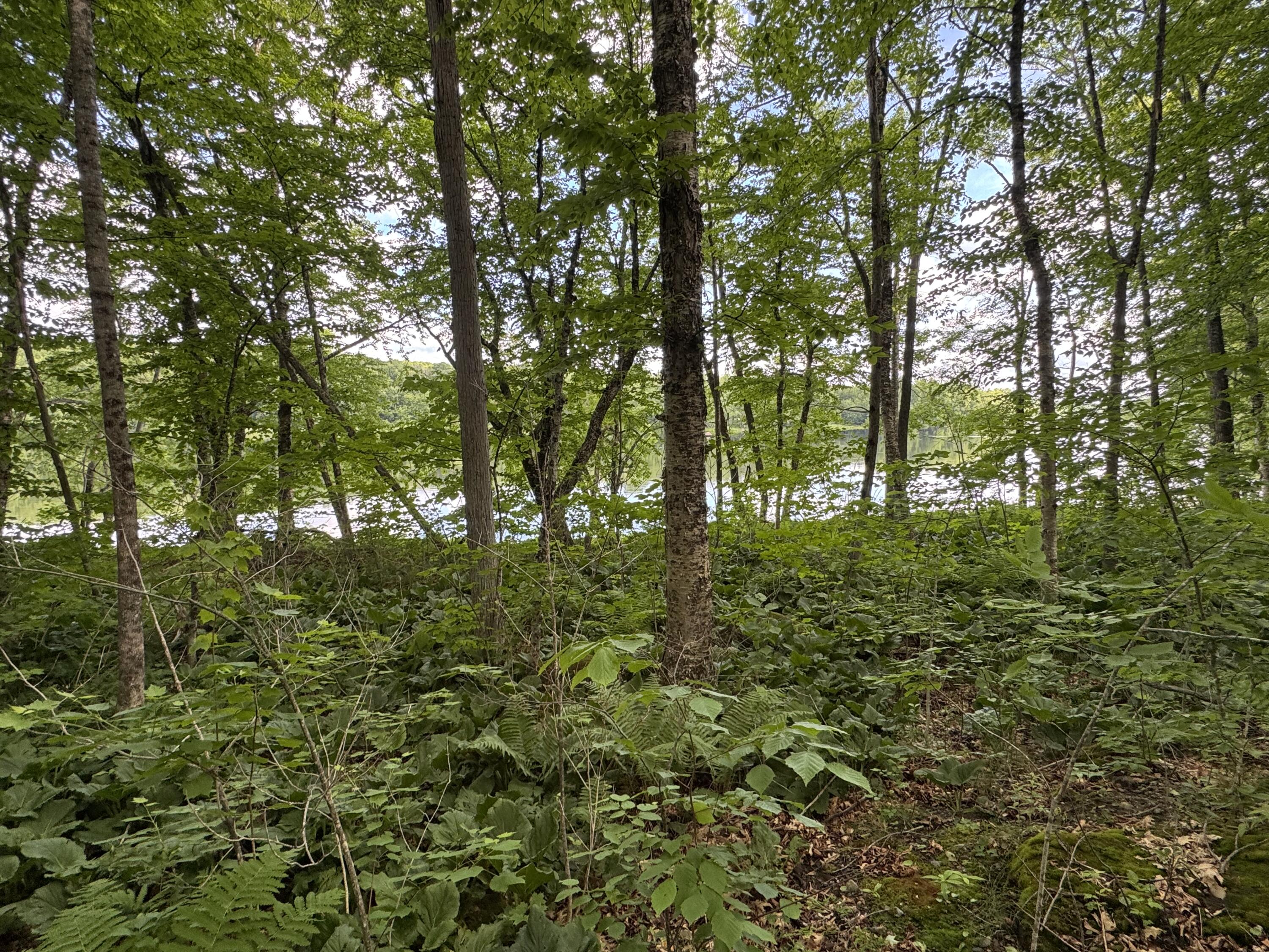 154 Highway 2 Kingman, ME 04451 - Photo 7 of 25 IMG_0125