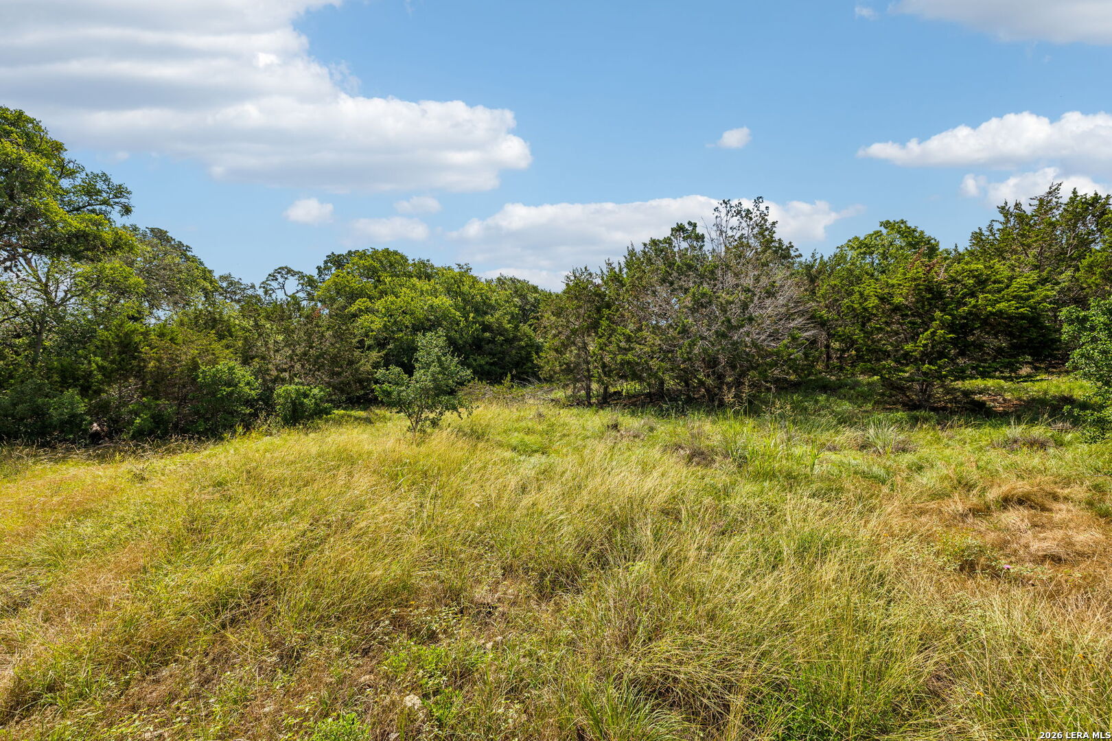 155 Obscure Way Spring Branch, TX 78070 - Photo 23 of 25
