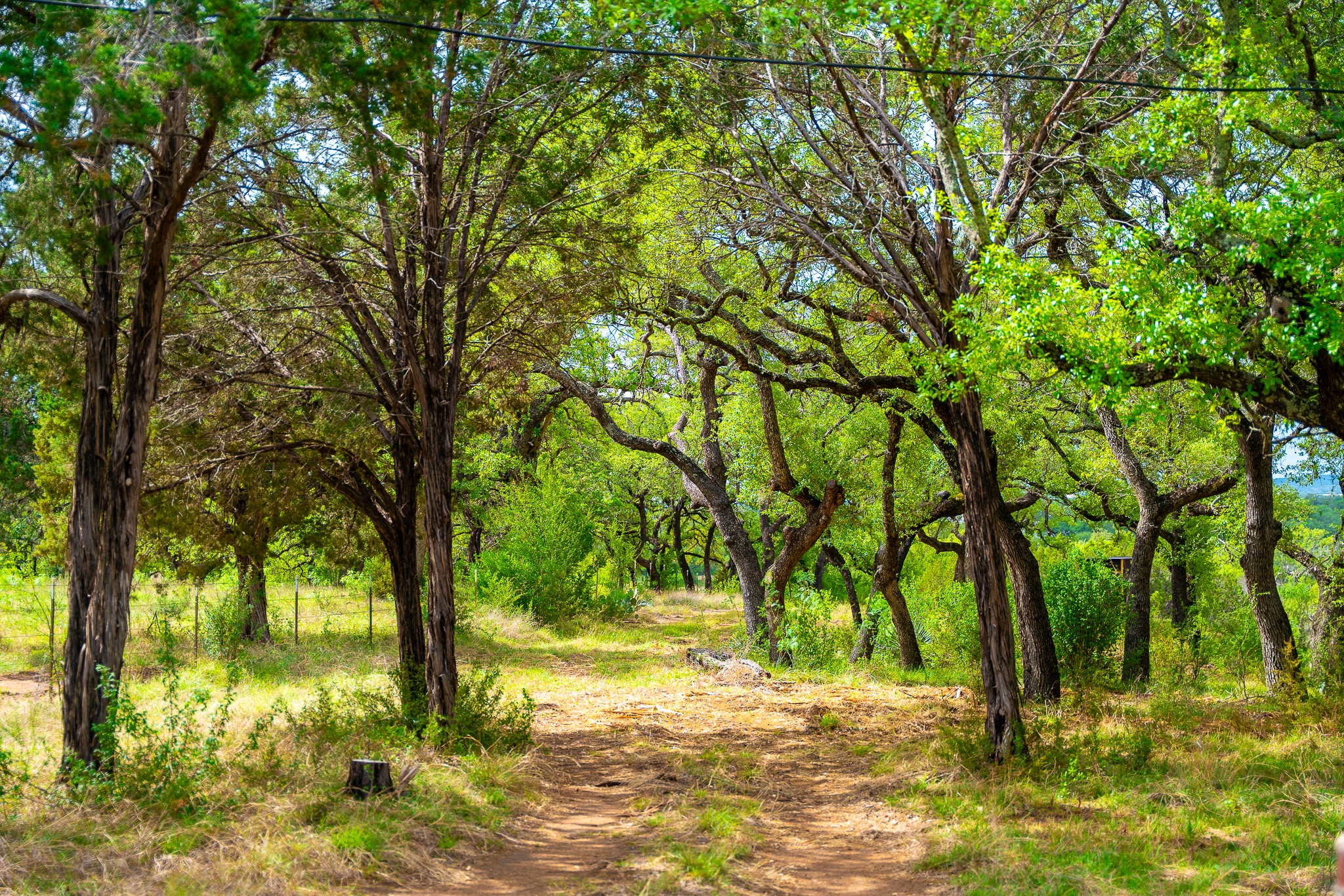 28205 Turner Ranch Road Marble Falls, TX 78654 - Photo 13 of 39 View of nature