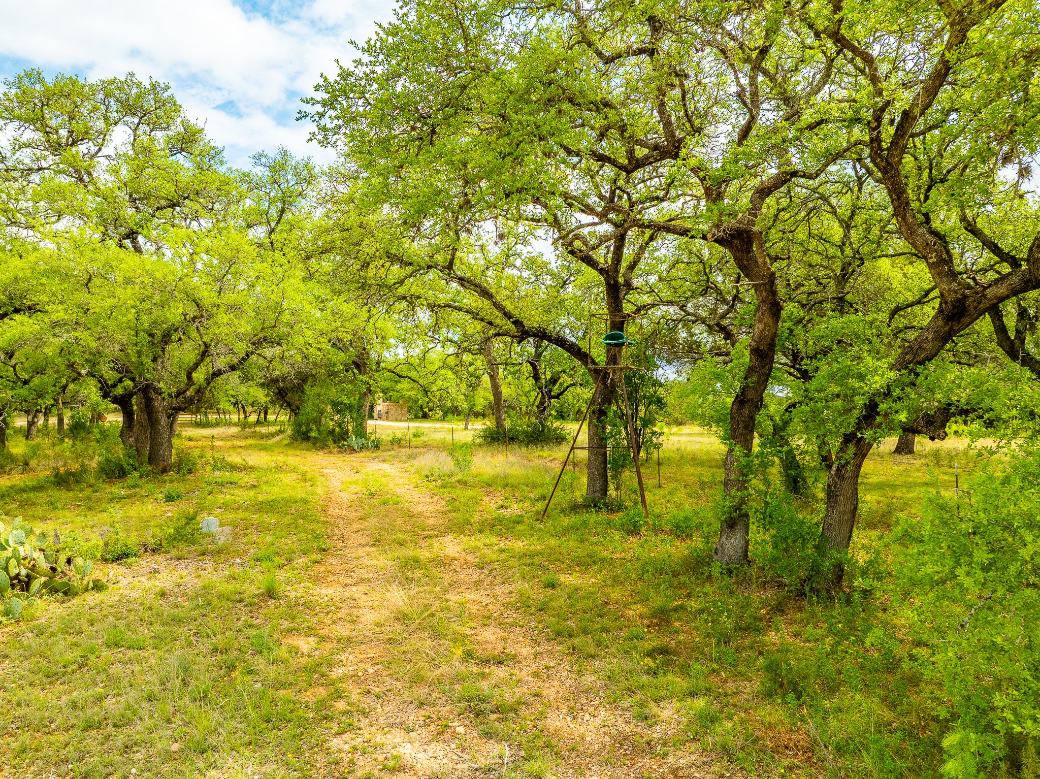 28205 Turner Ranch Road Marble Falls, TX 78654 - Photo 15 of 39 View of undeveloped land