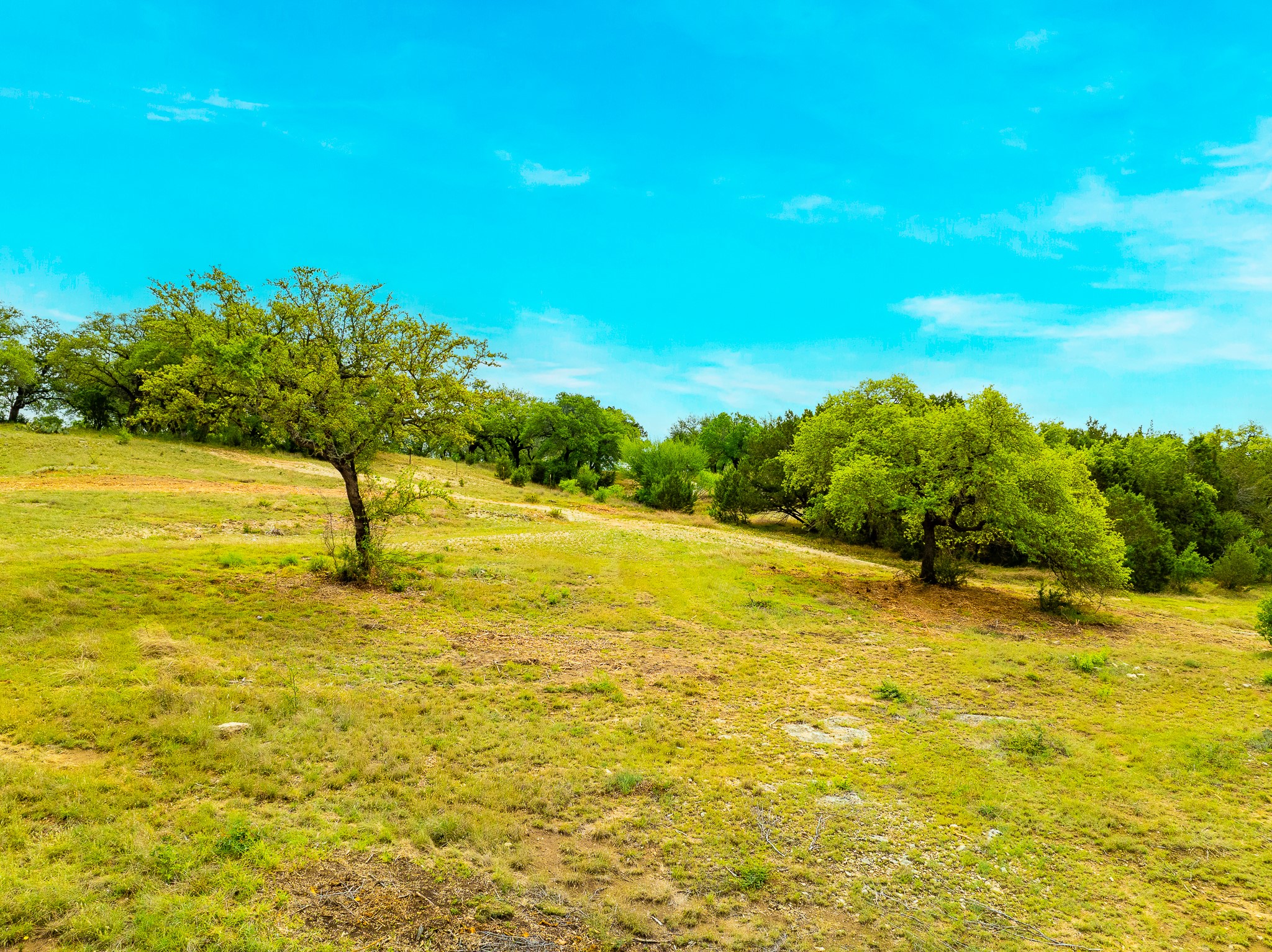 28205 Turner Ranch Road Marble Falls, TX 78654 - Photo 20 of 39 View of local wilderness with rural landscape