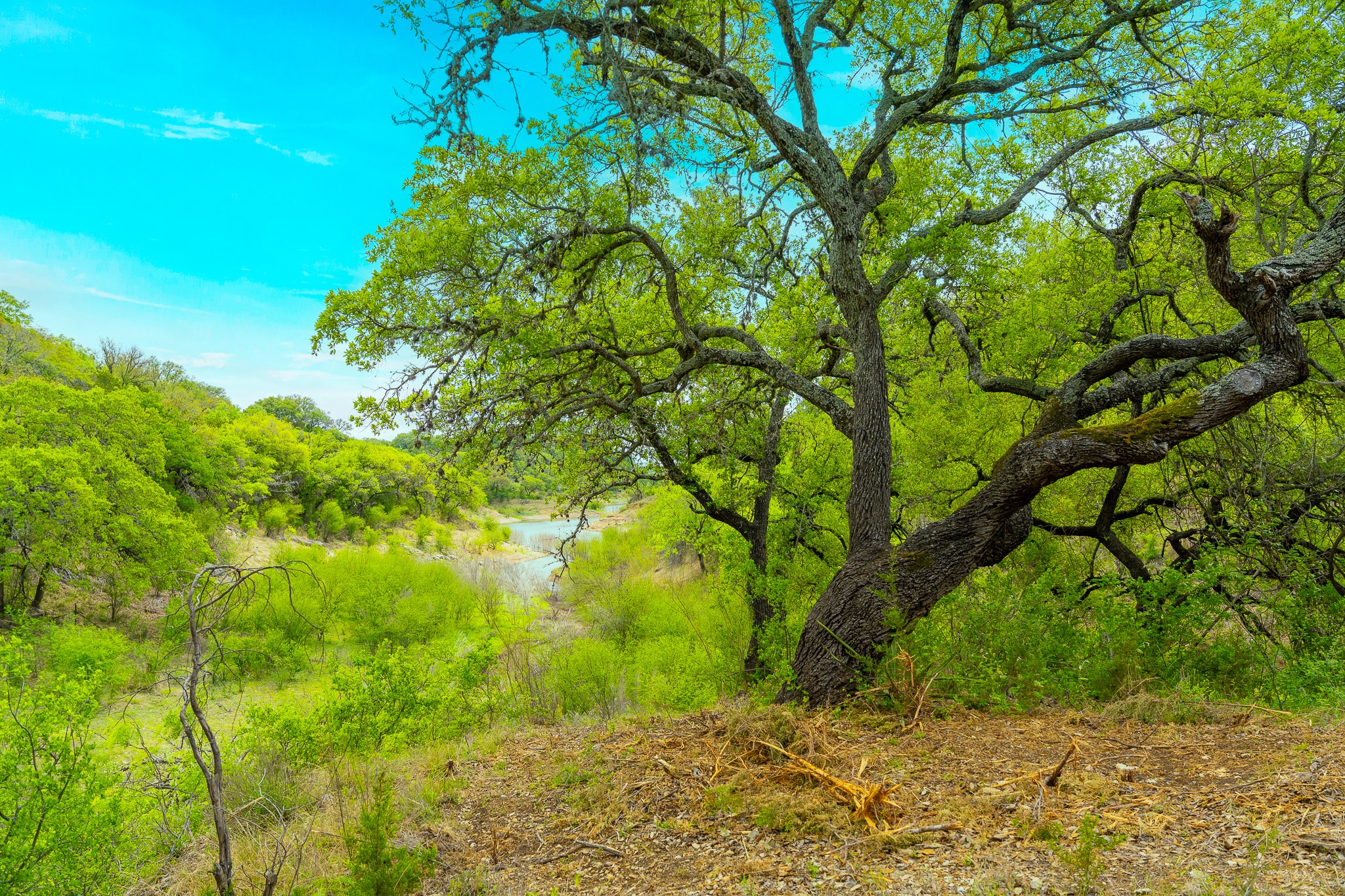 28205 Turner Ranch Road Marble Falls, TX 78654 - Photo 24 of 39 View of undeveloped land