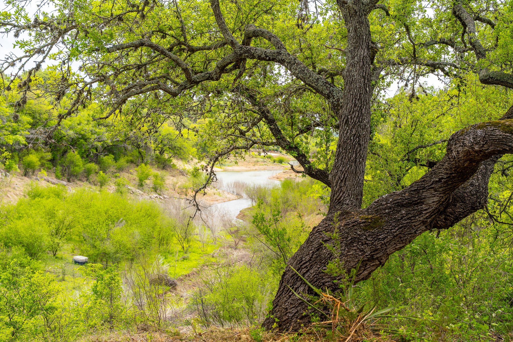 28205 Turner Ranch Road Marble Falls, TX 78654 - Photo 25 of 39 View of local wilderness featuring a large body of water