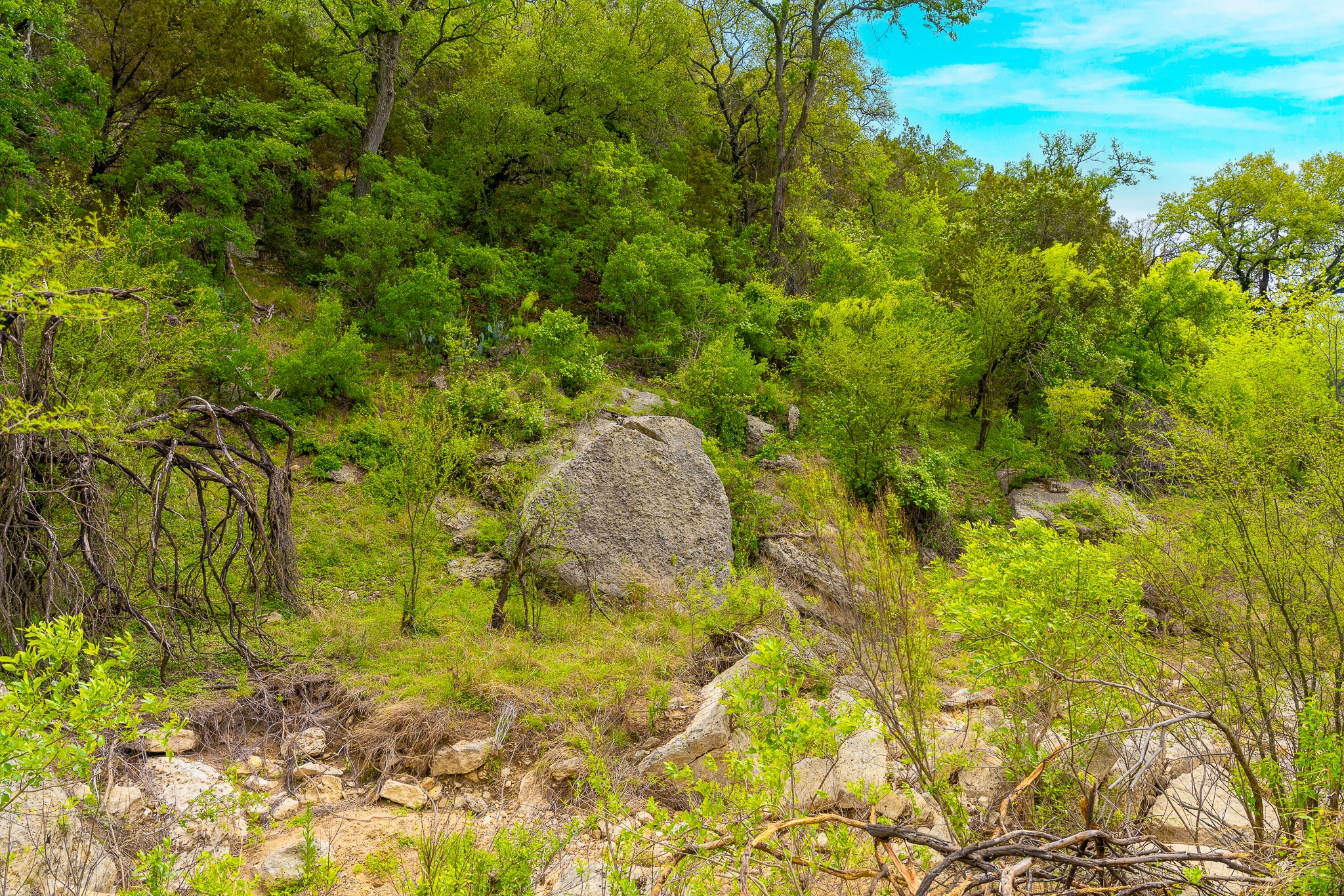 28205 Turner Ranch Road Marble Falls, TX 78654 - Photo 26 of 39 View of undeveloped land