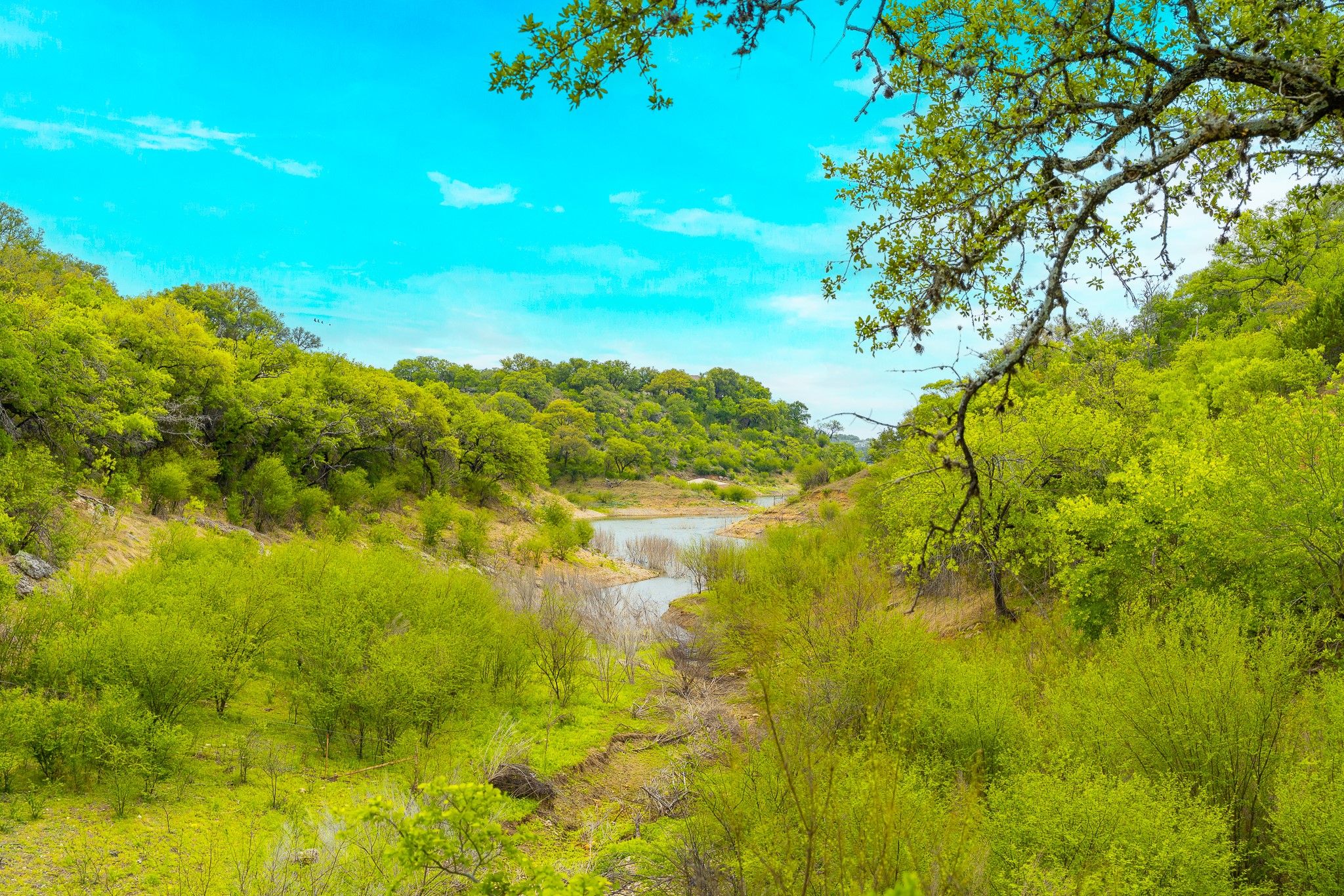 28205 Turner Ranch Road Marble Falls, TX 78654 - Photo 28 of 39 Water view with a forest