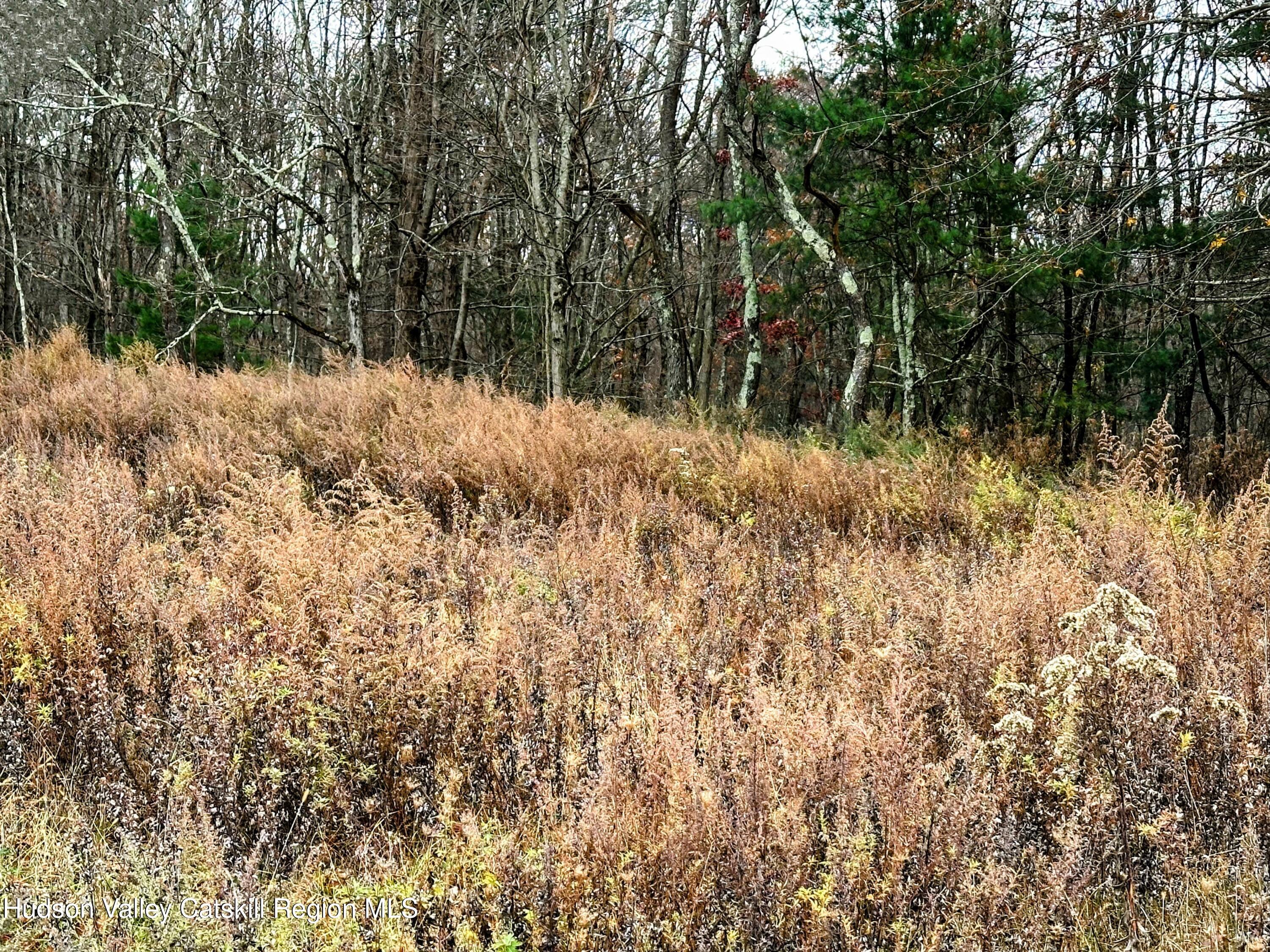 3264 County Route 7 Ancram, NY 12502 - Photo 13 of 19 a view of a yard